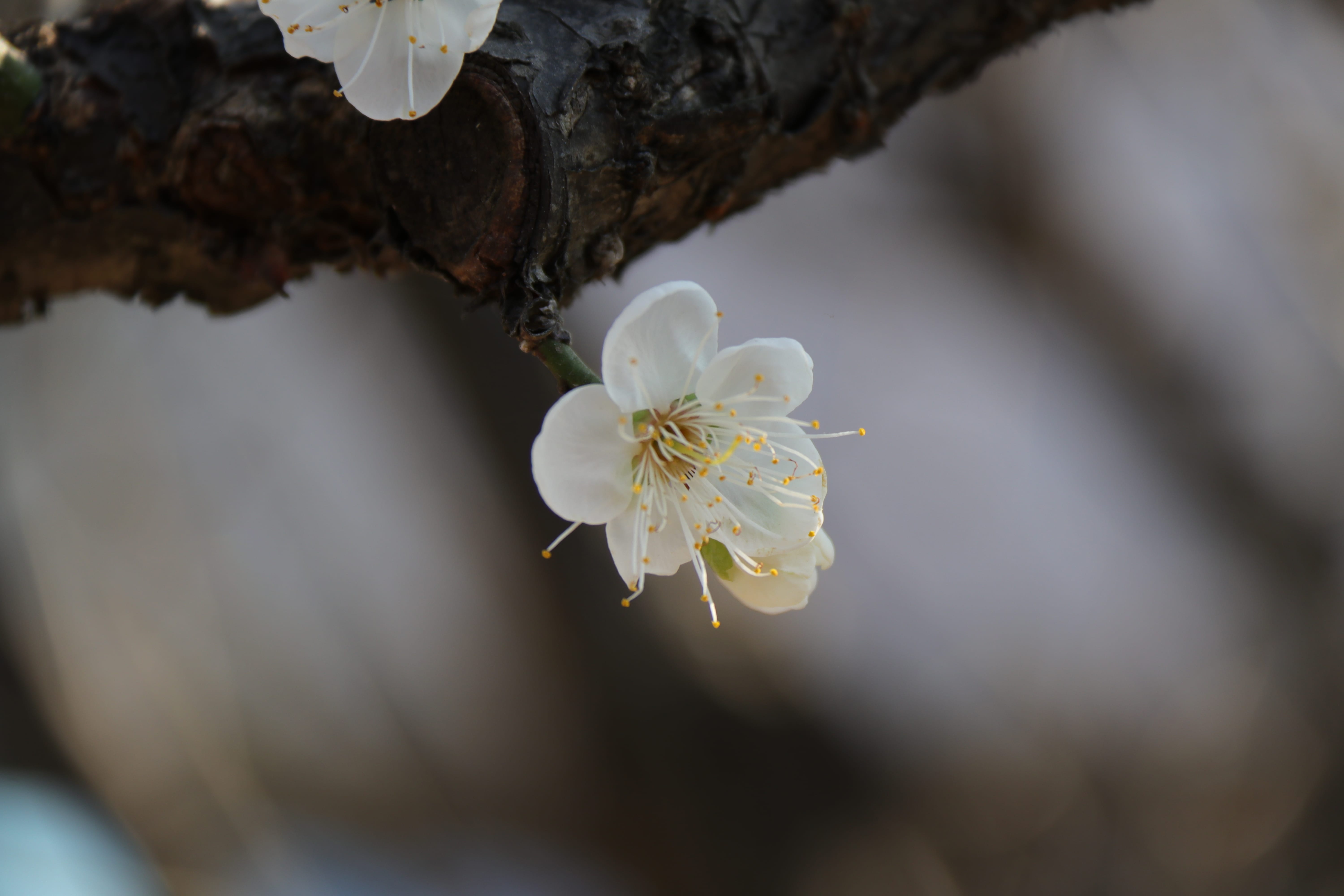 20191228145520_IMG_0592