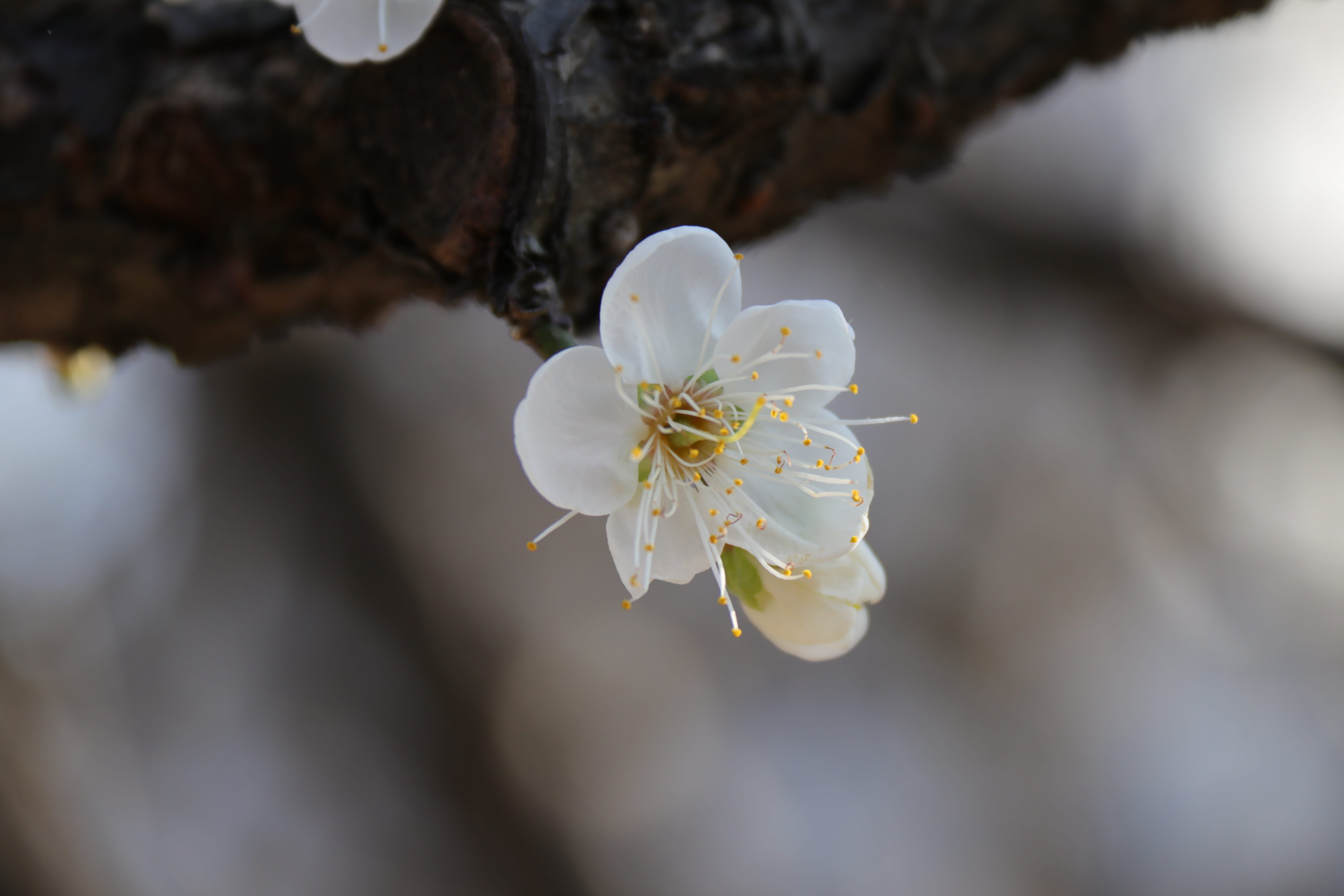 20191228145533_IMG_0593