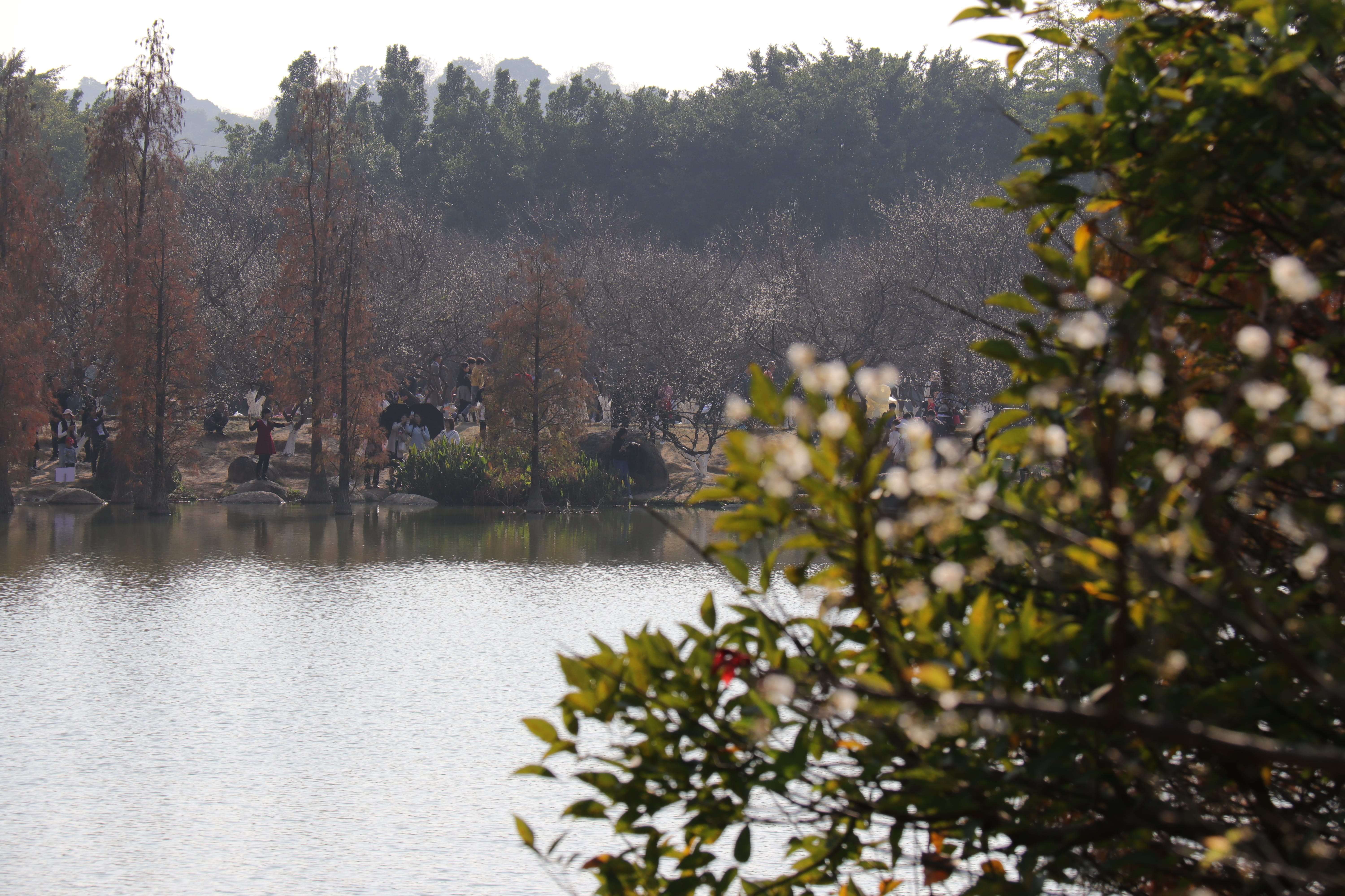 20191228145918_IMG_0595