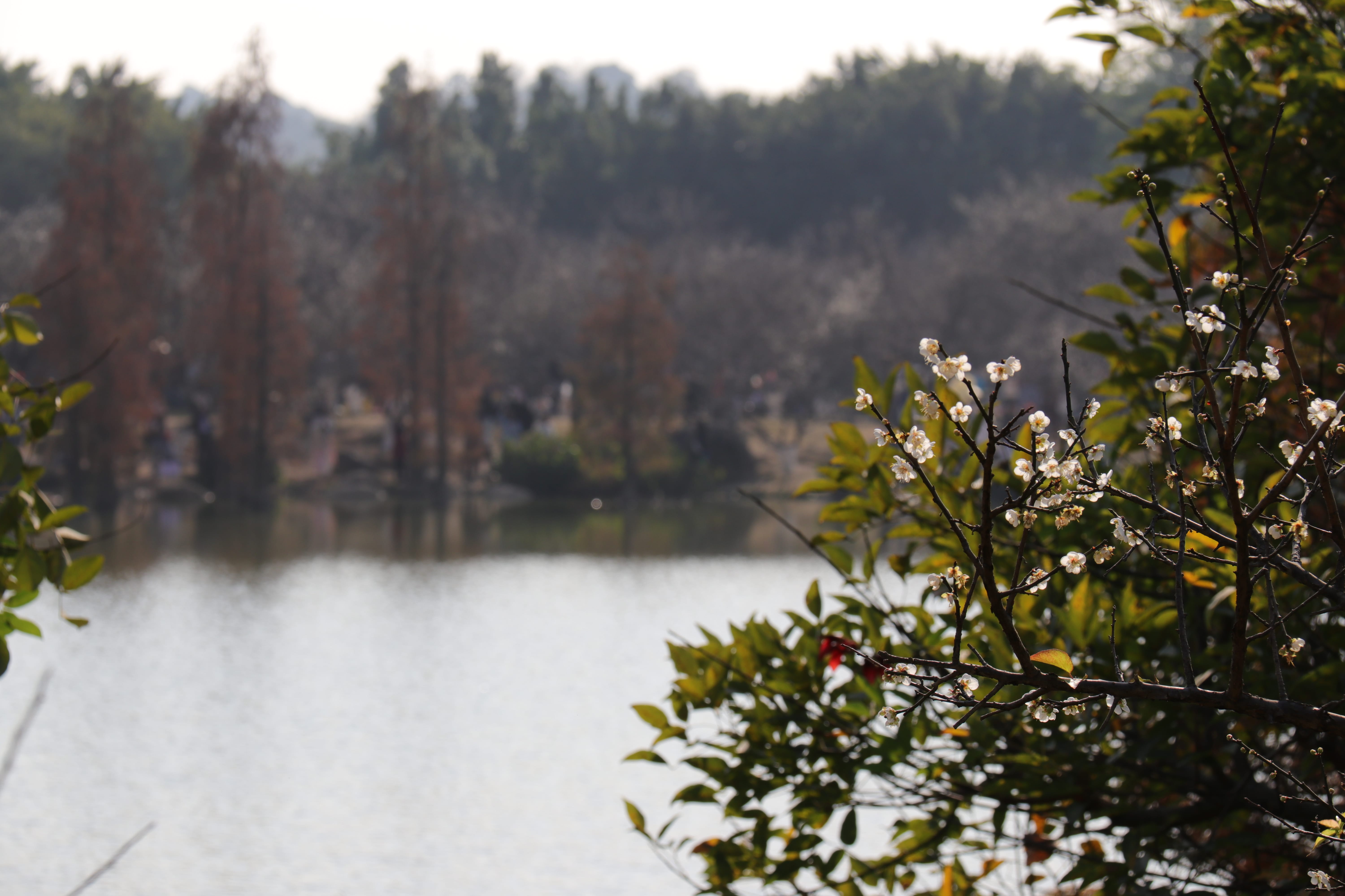 20191228145925_IMG_0596