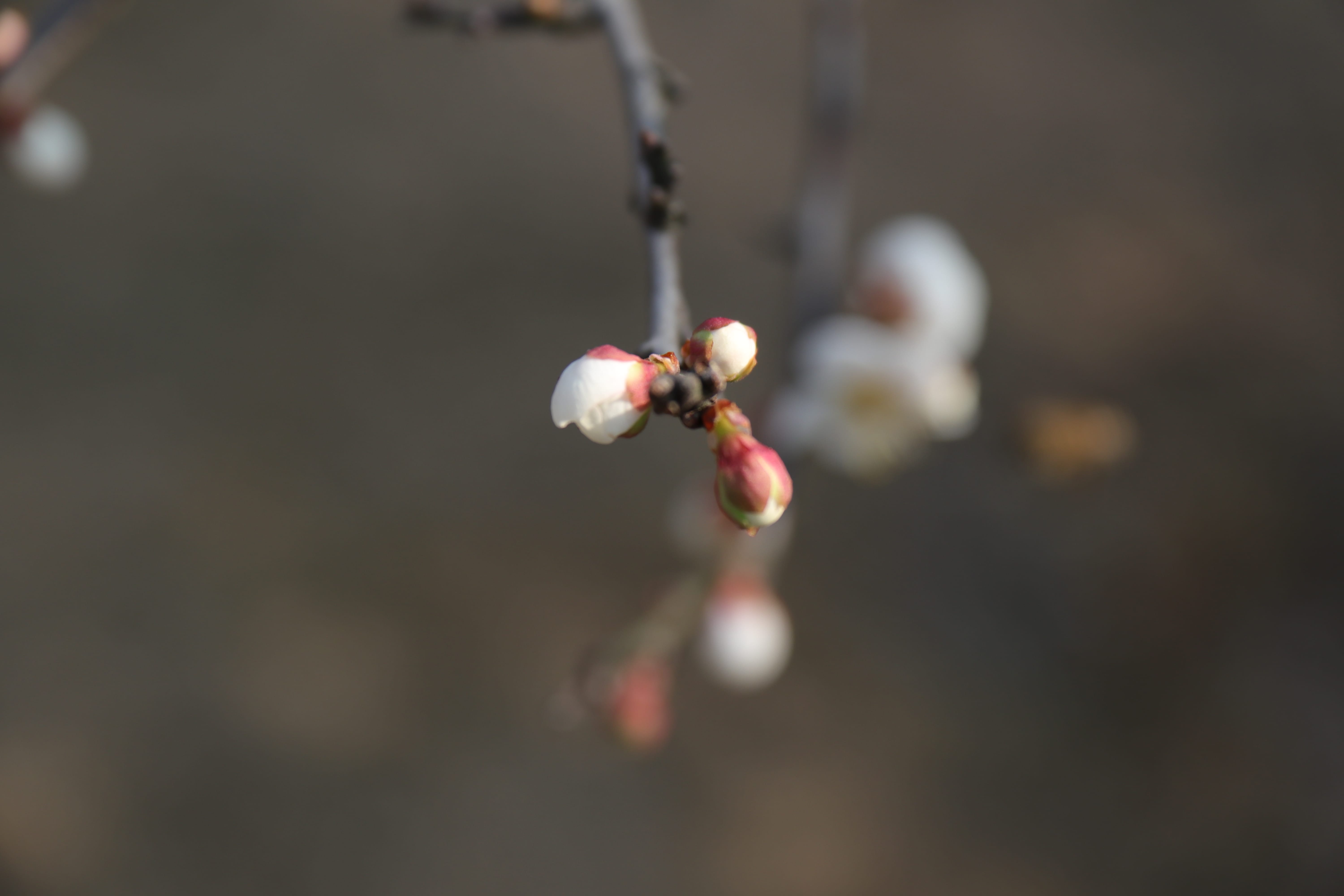 20191228150109_IMG_0598