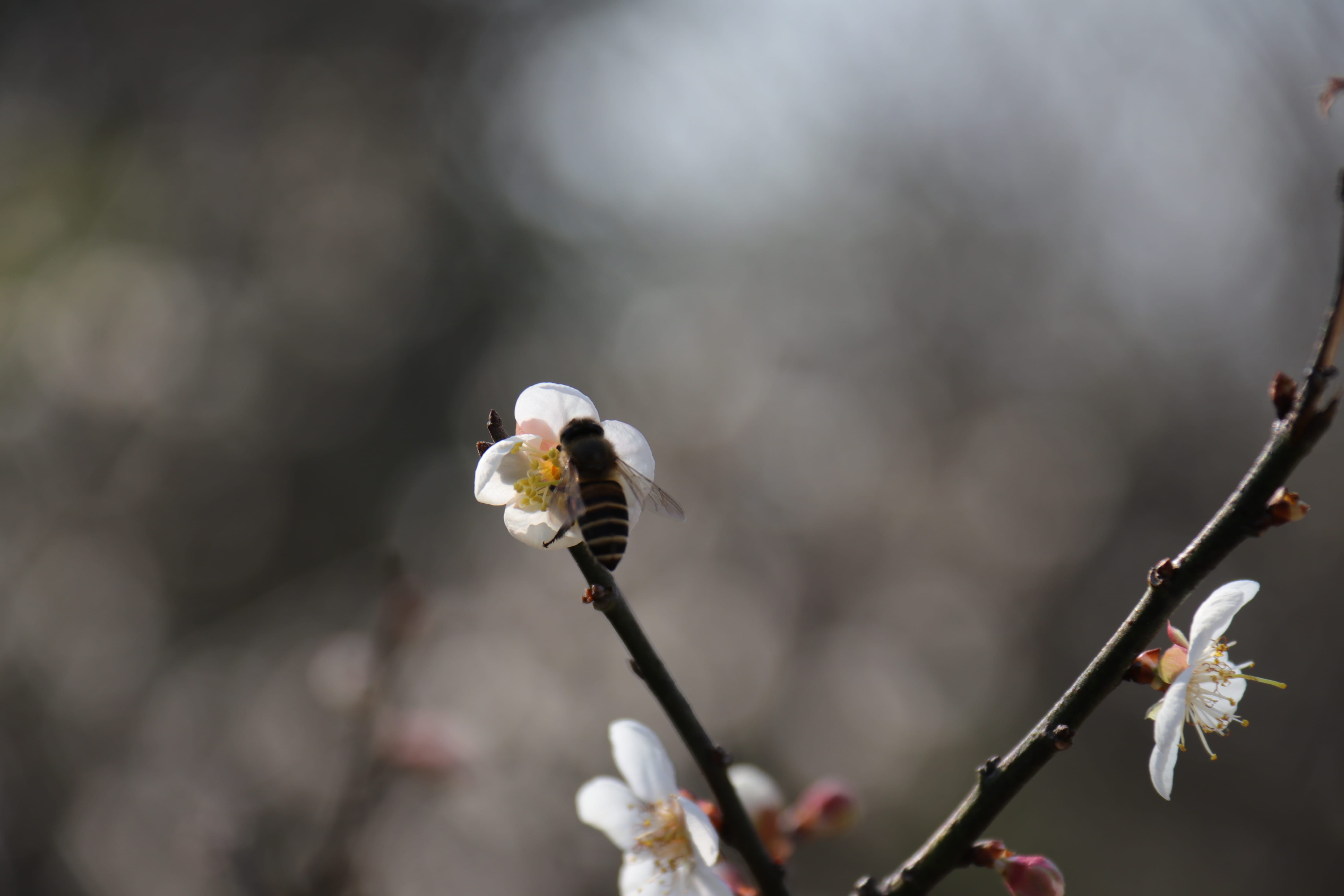 20191228150131_IMG_0599