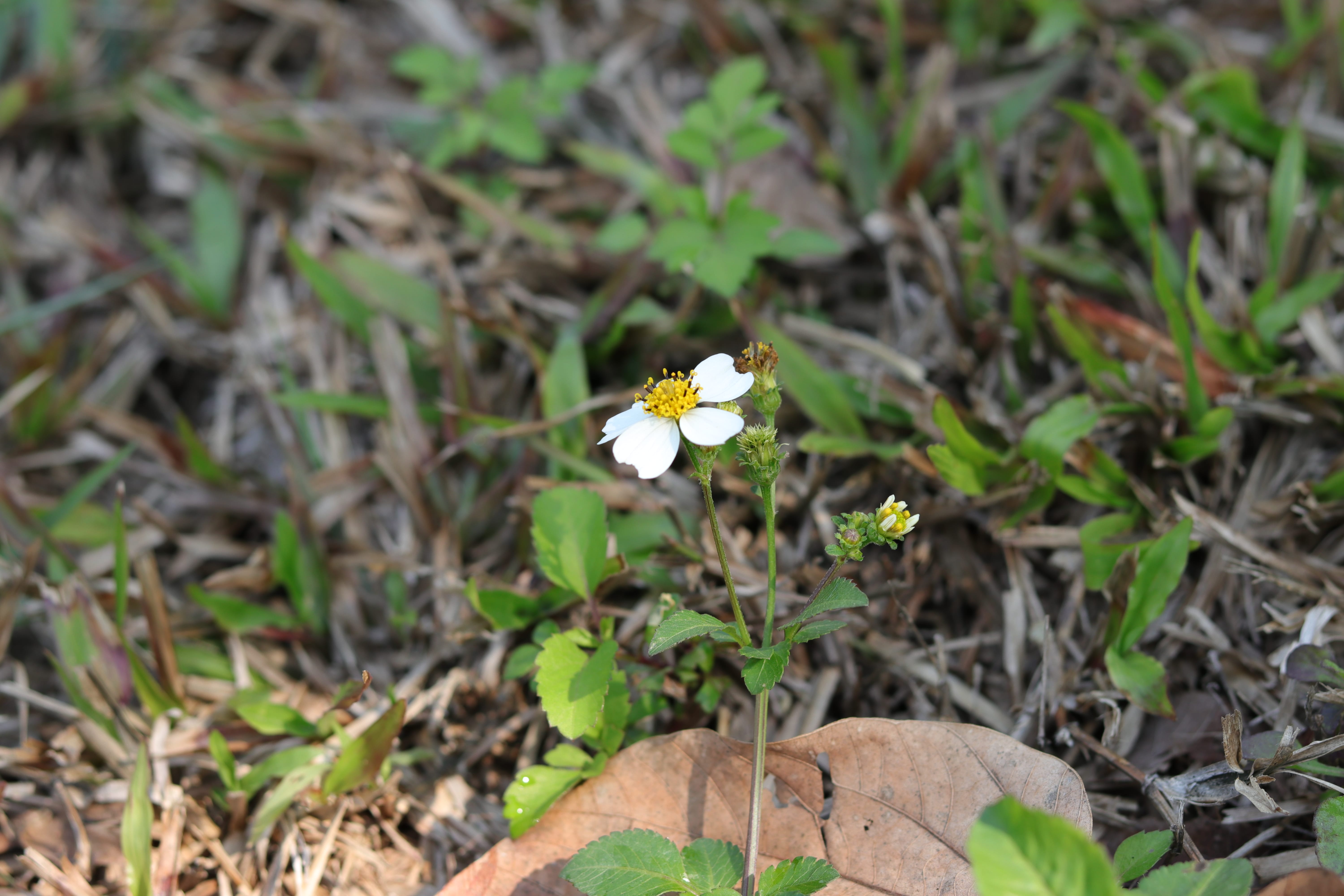 20200222110237_IMG_0601