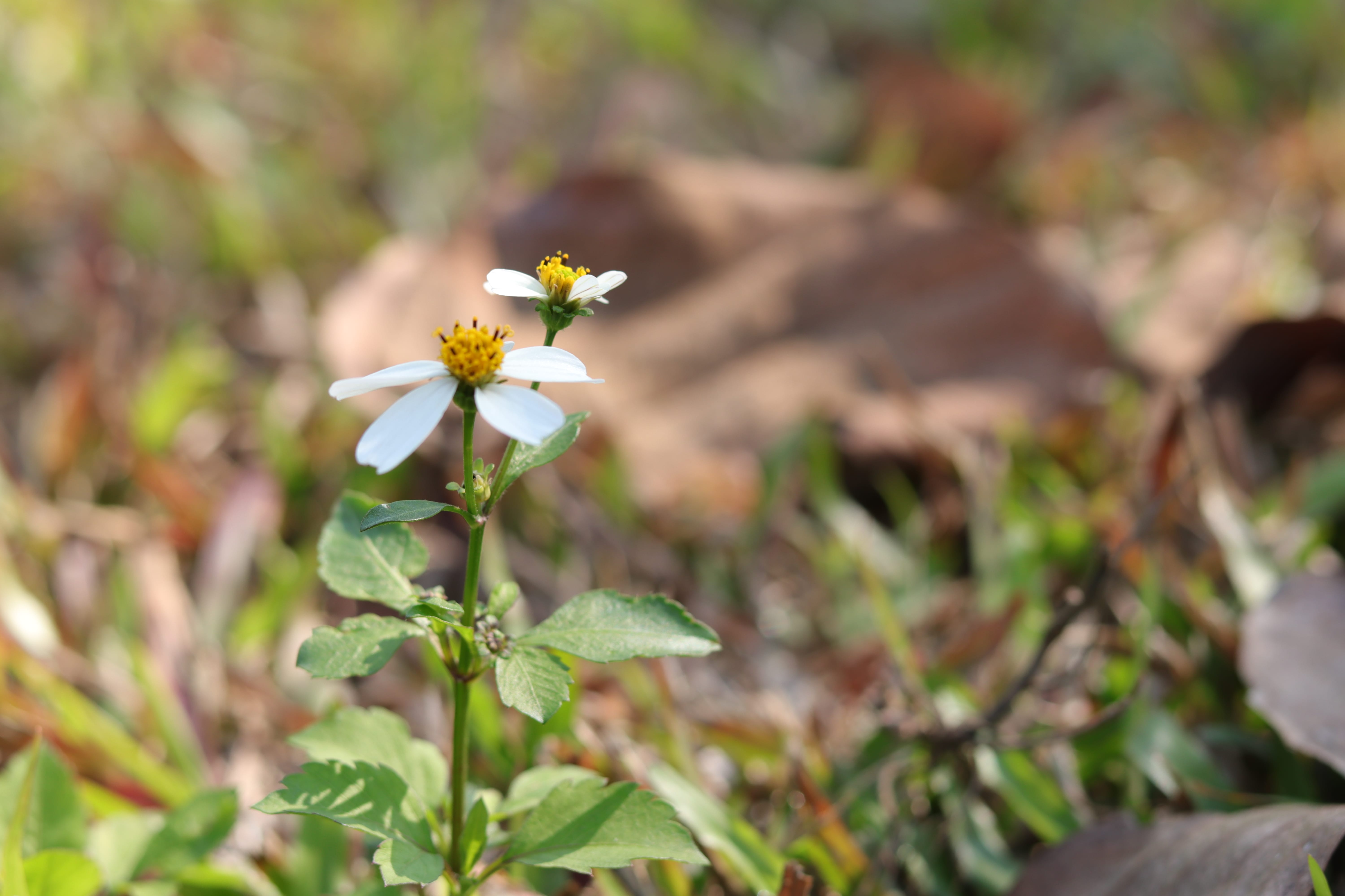 20200222110328_IMG_0603