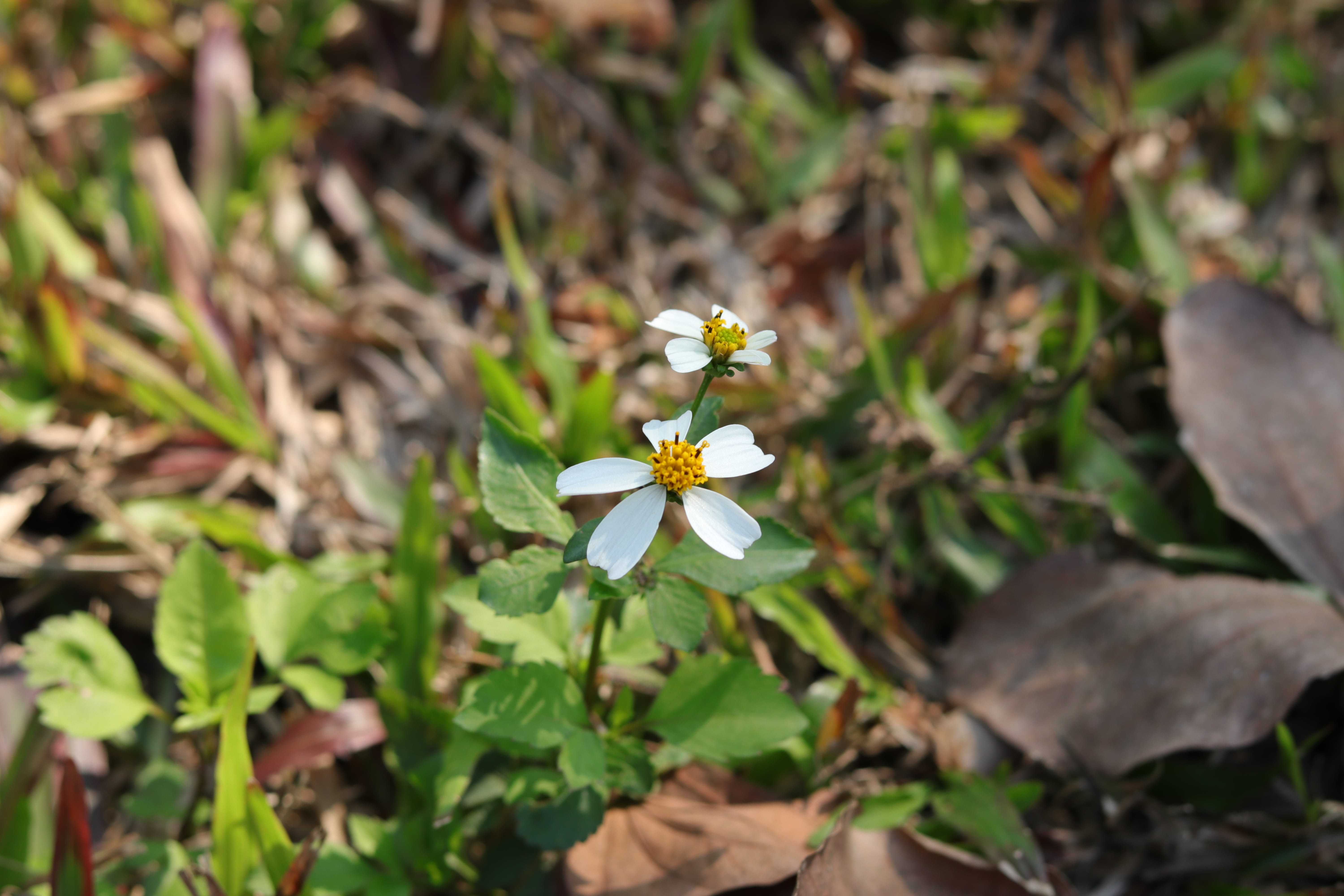 20200222110420_IMG_0605