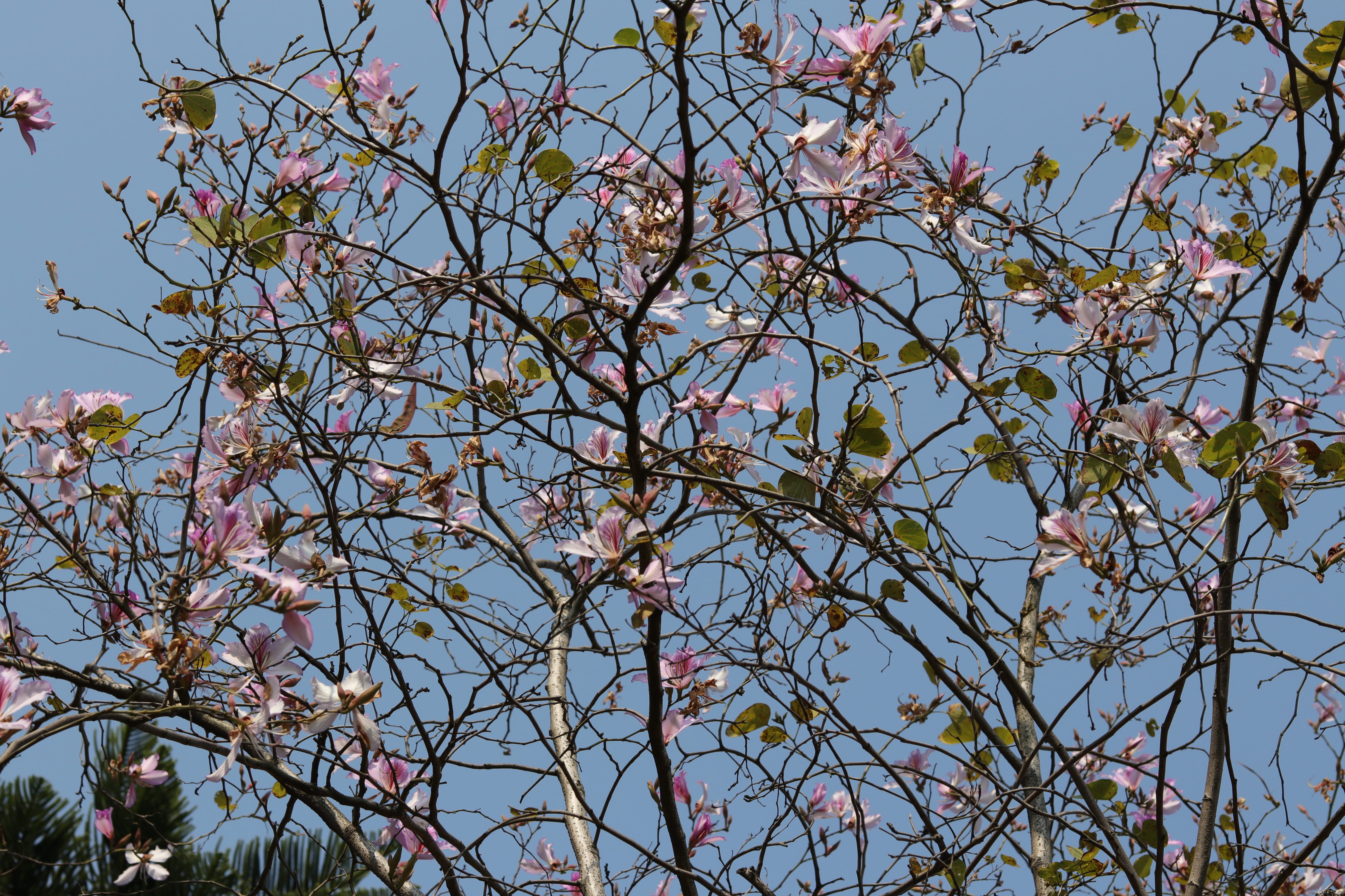 20200222111751_IMG_0614