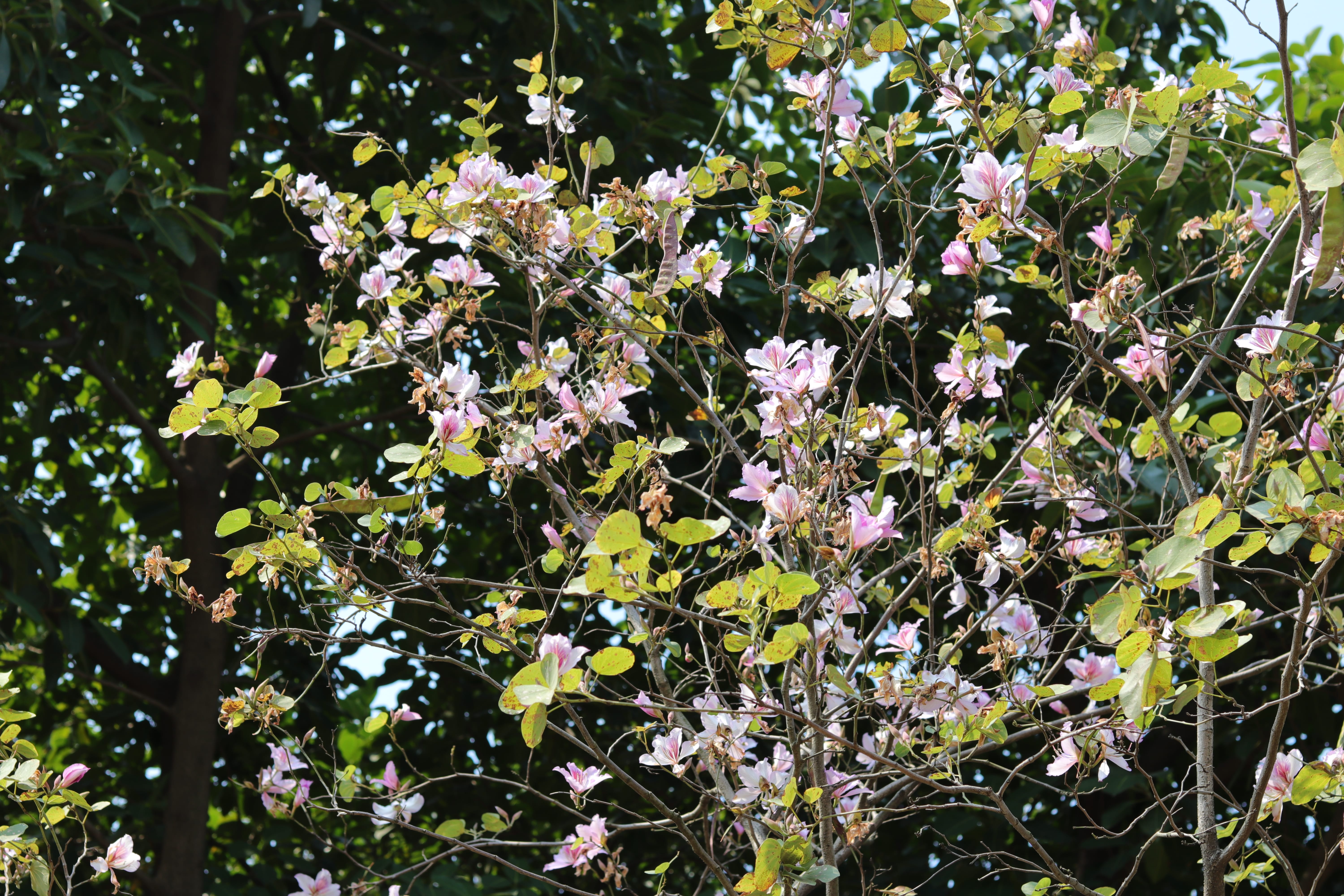 20200222111818_IMG_0616