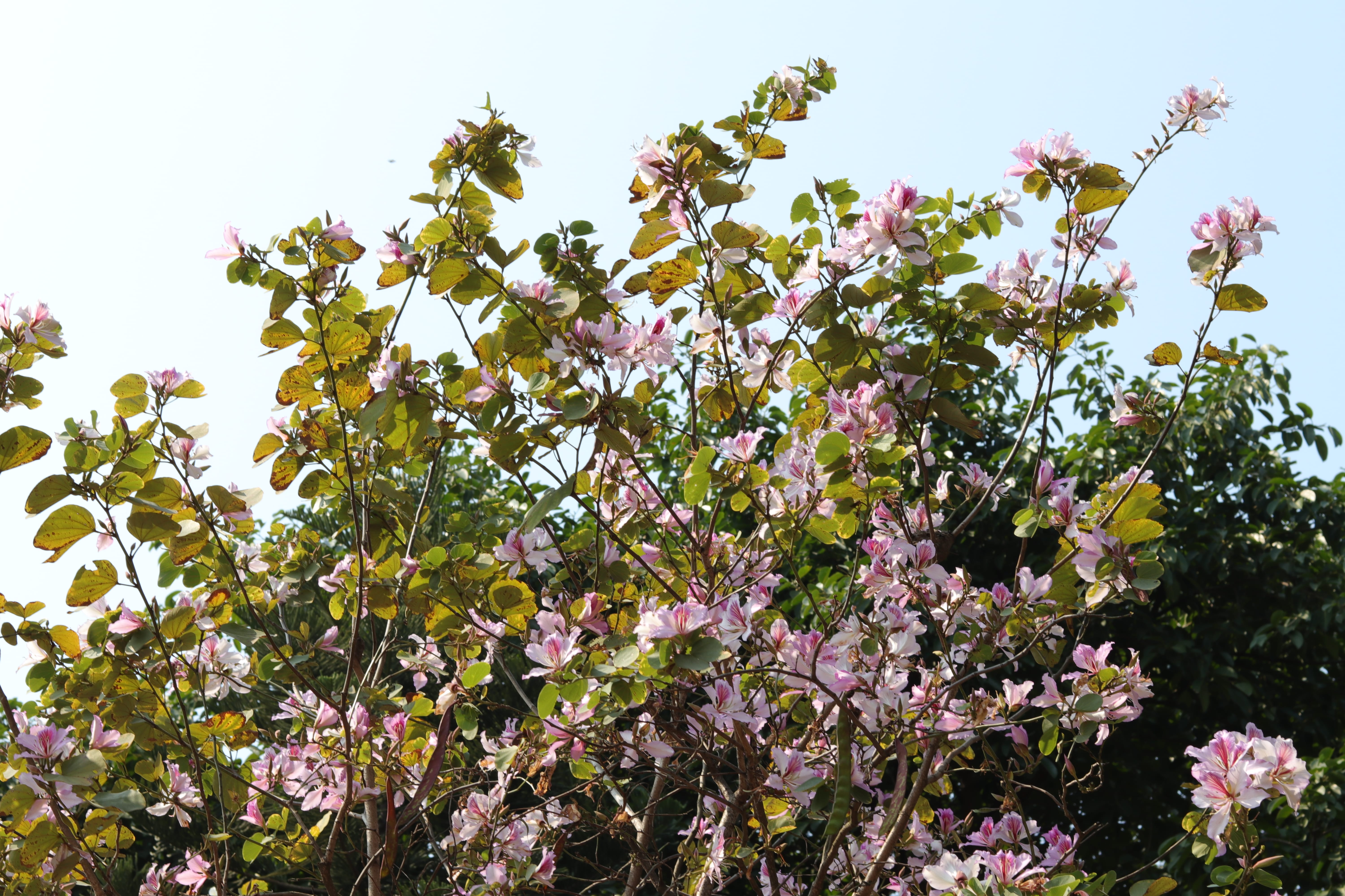 20200222111859_IMG_0617