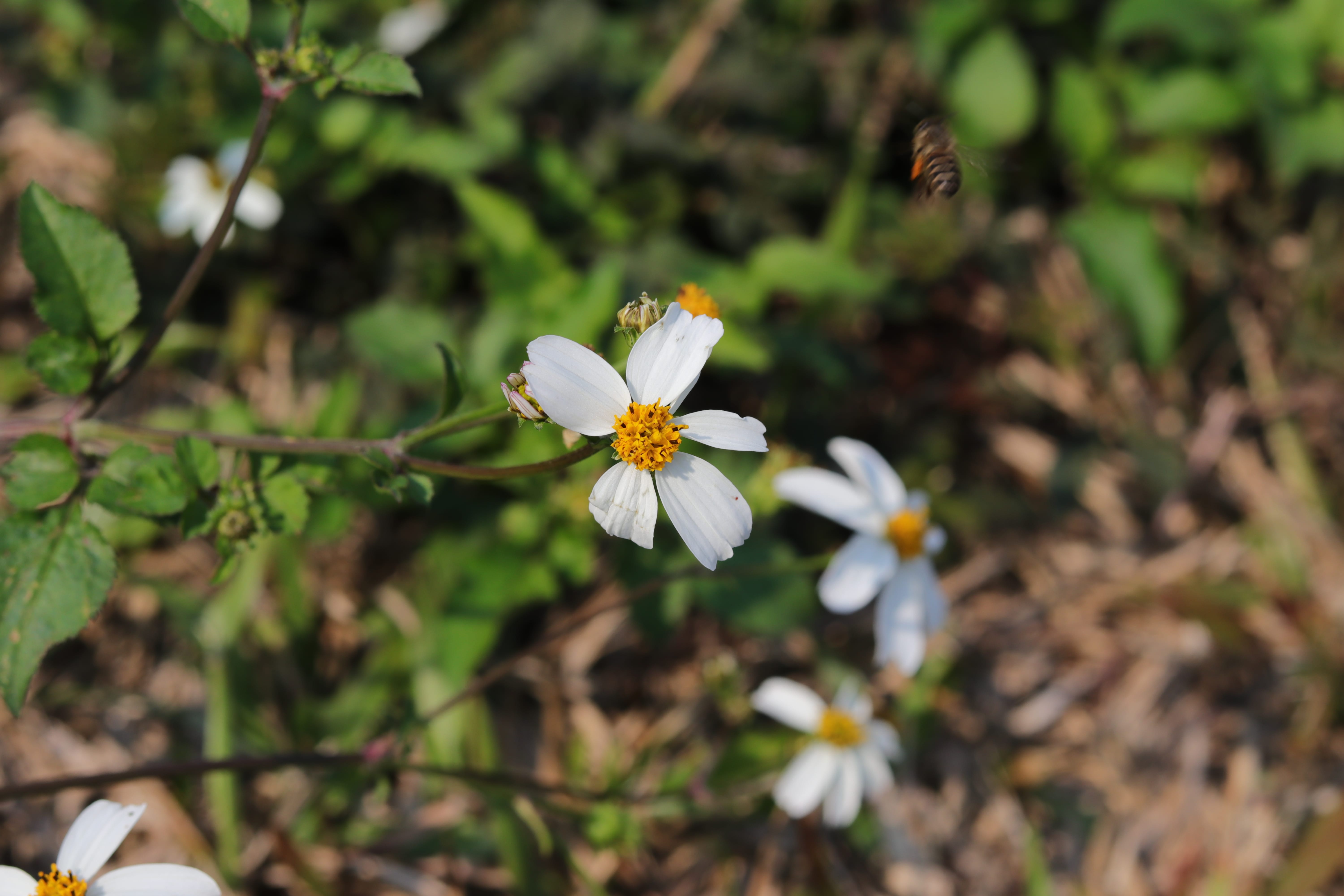 20200222112149_IMG_0621