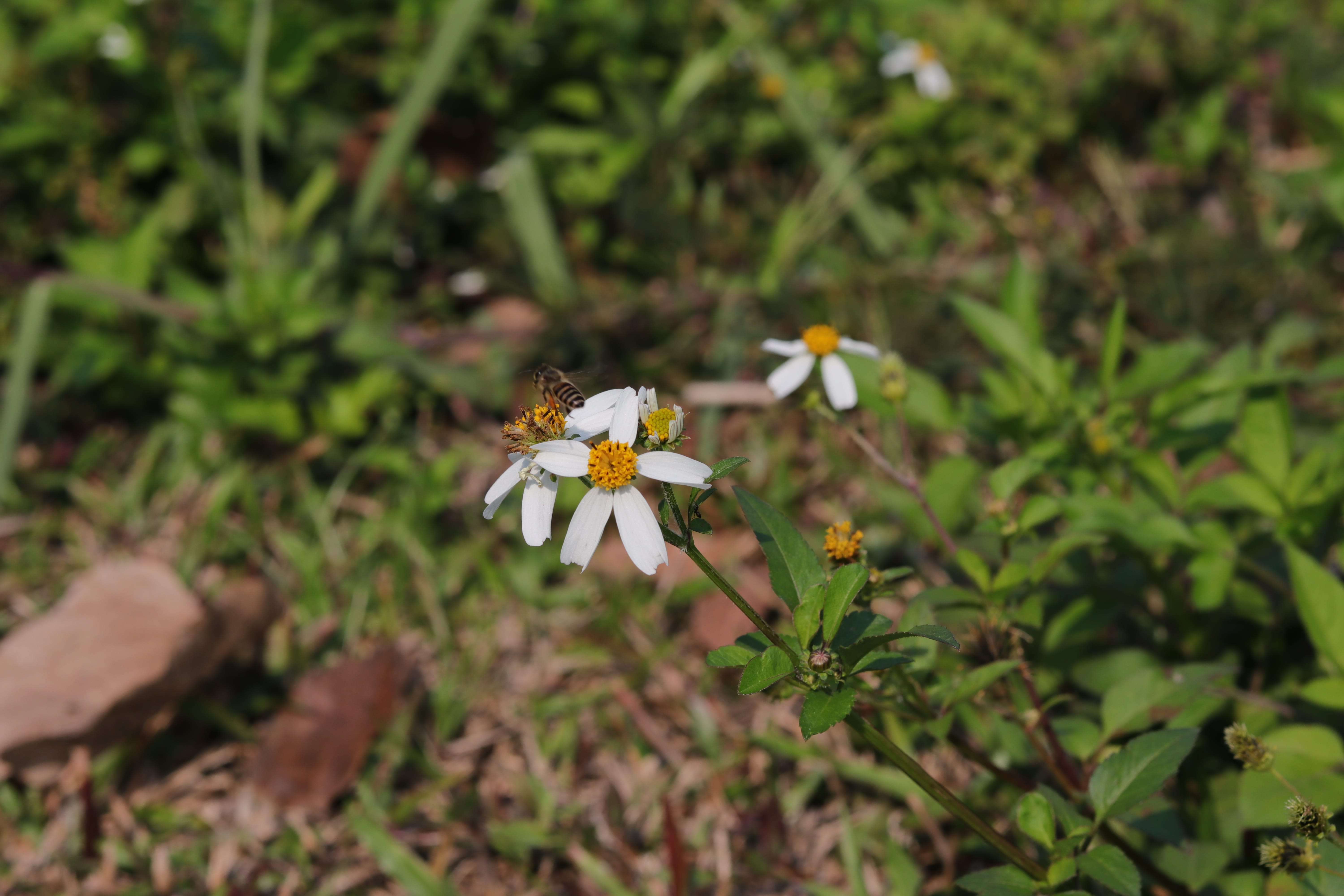 20200222112231_IMG_0624