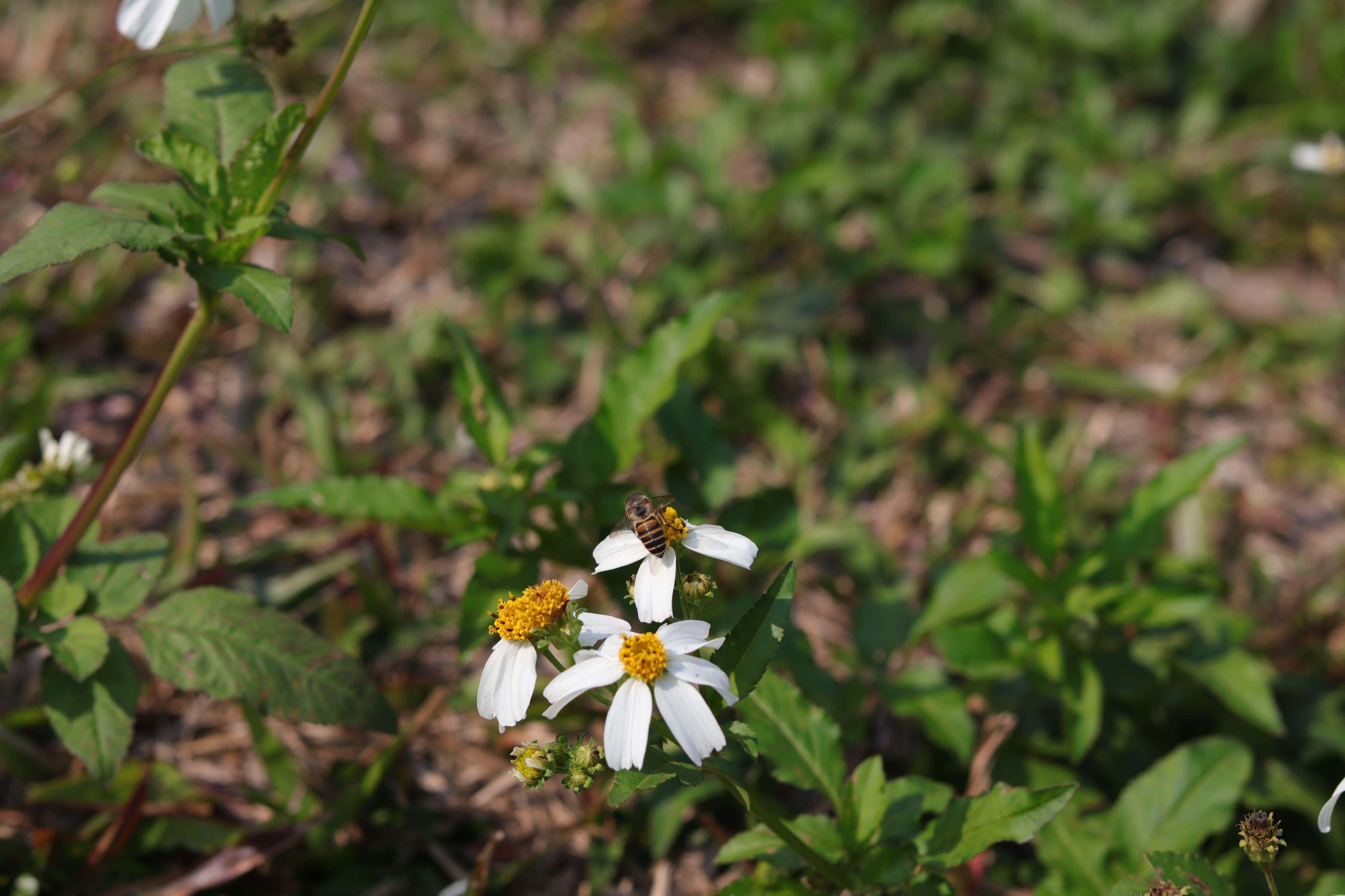 20200222112316_IMG_0627