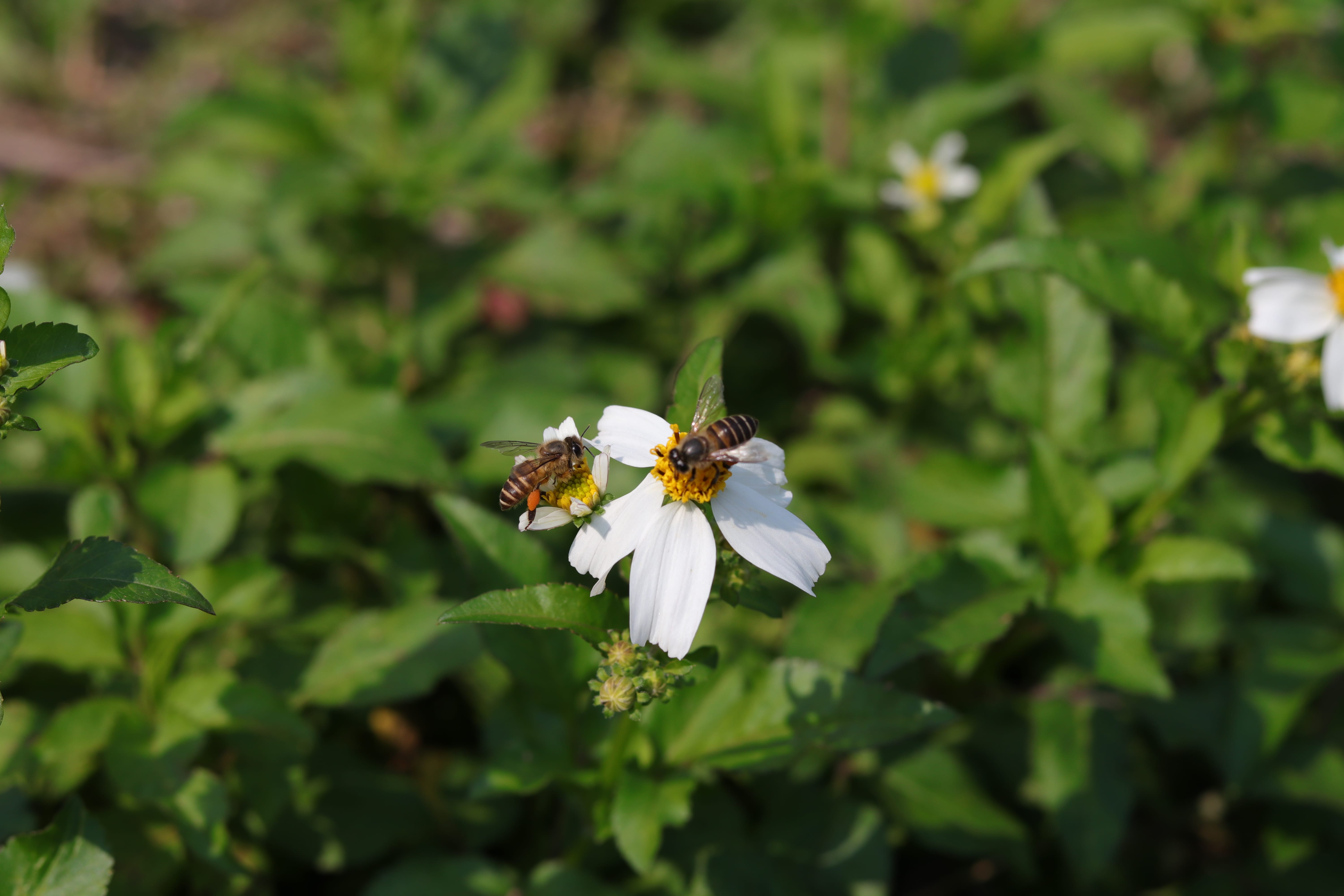 20200222112334_IMG_0631