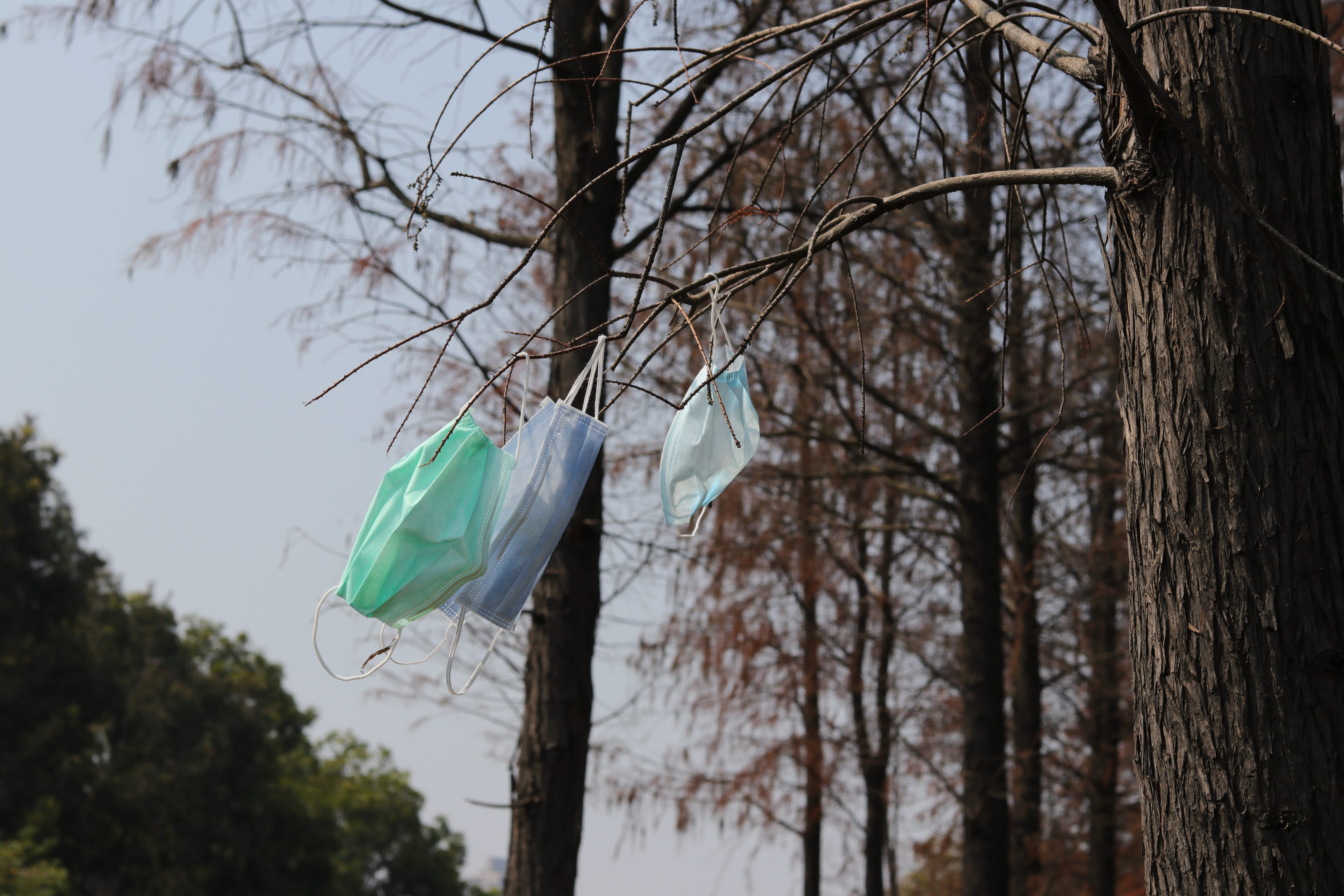 20200222113609_IMG_0644