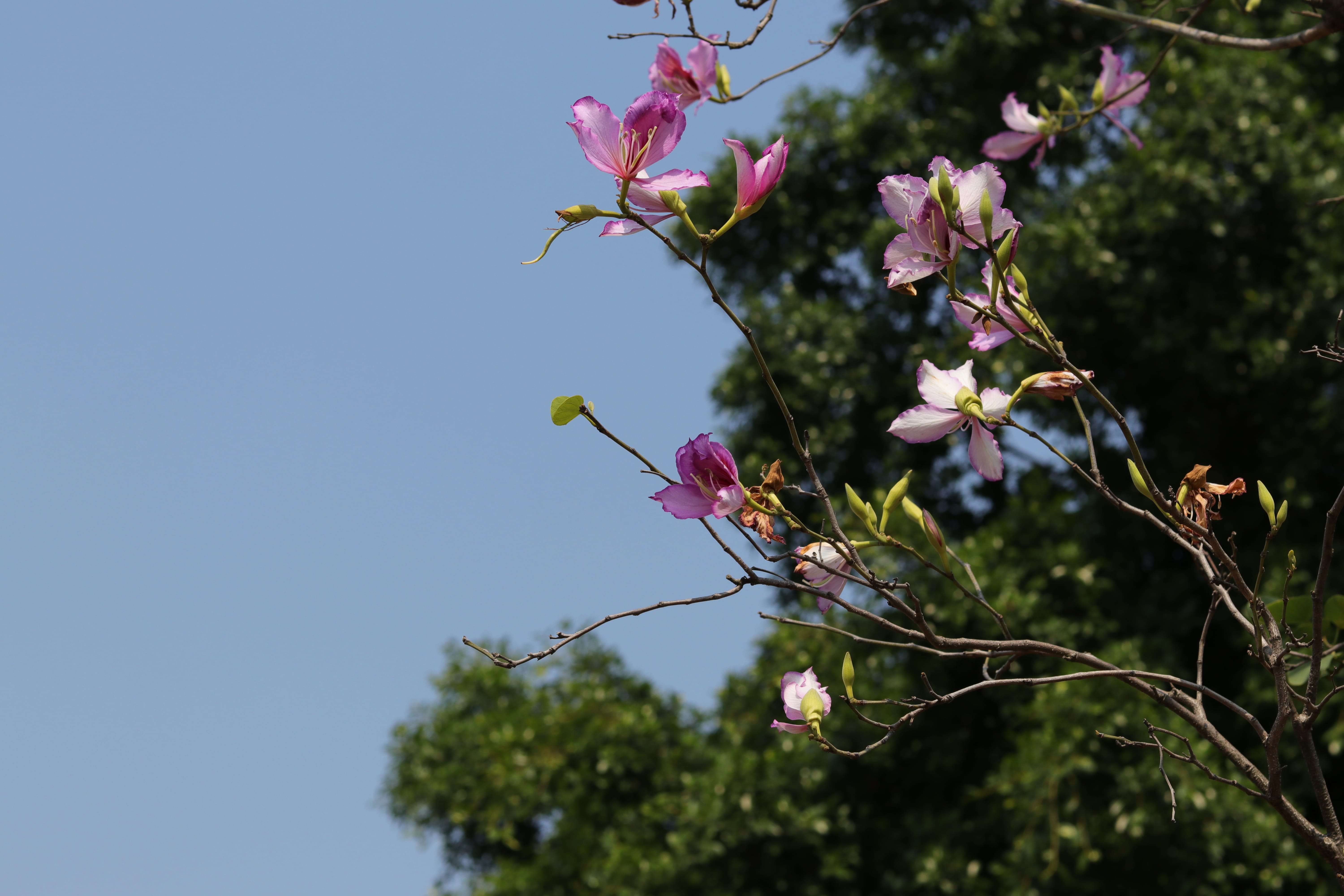 20200222113744_IMG_0645