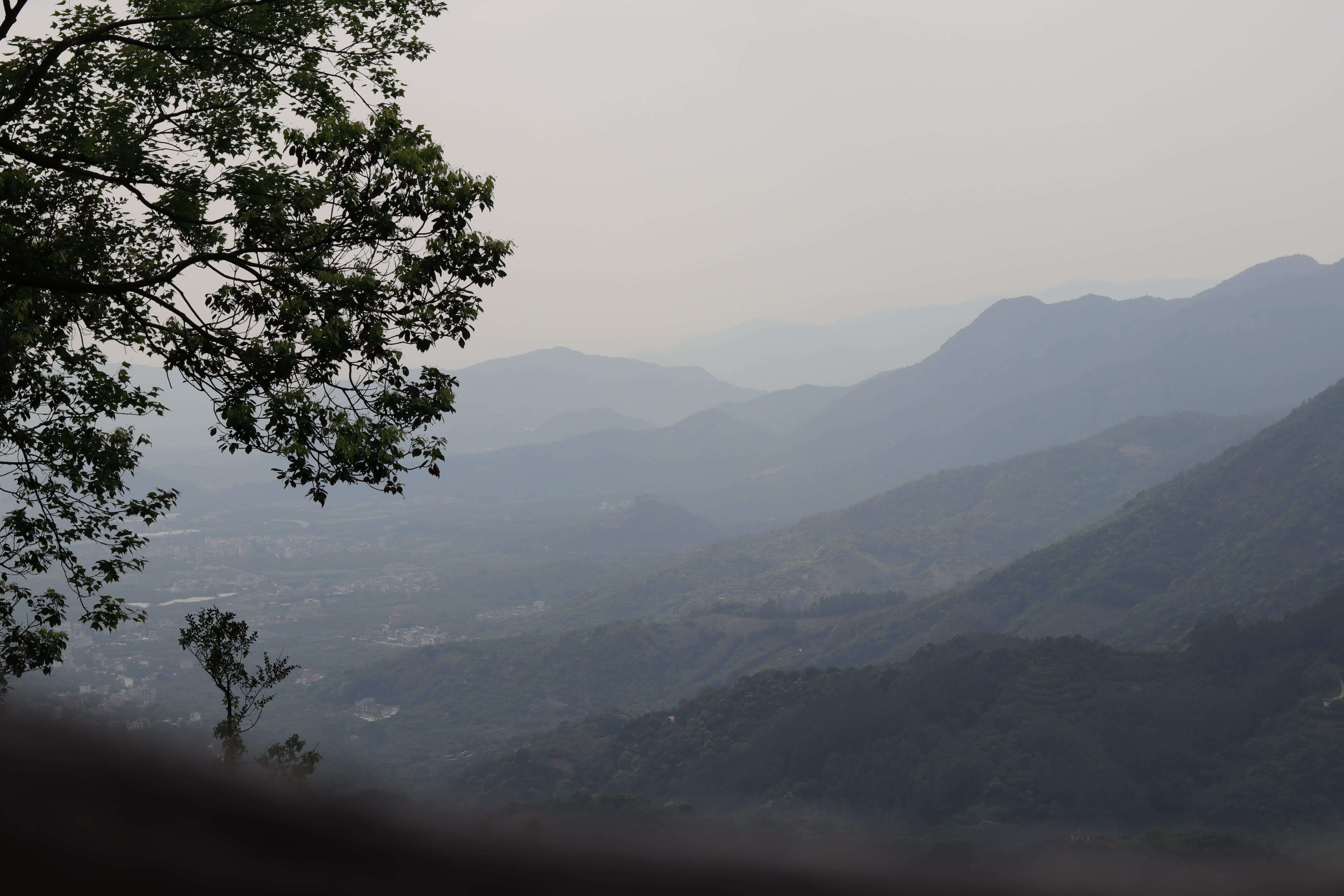 20200314150240_IMG_0653