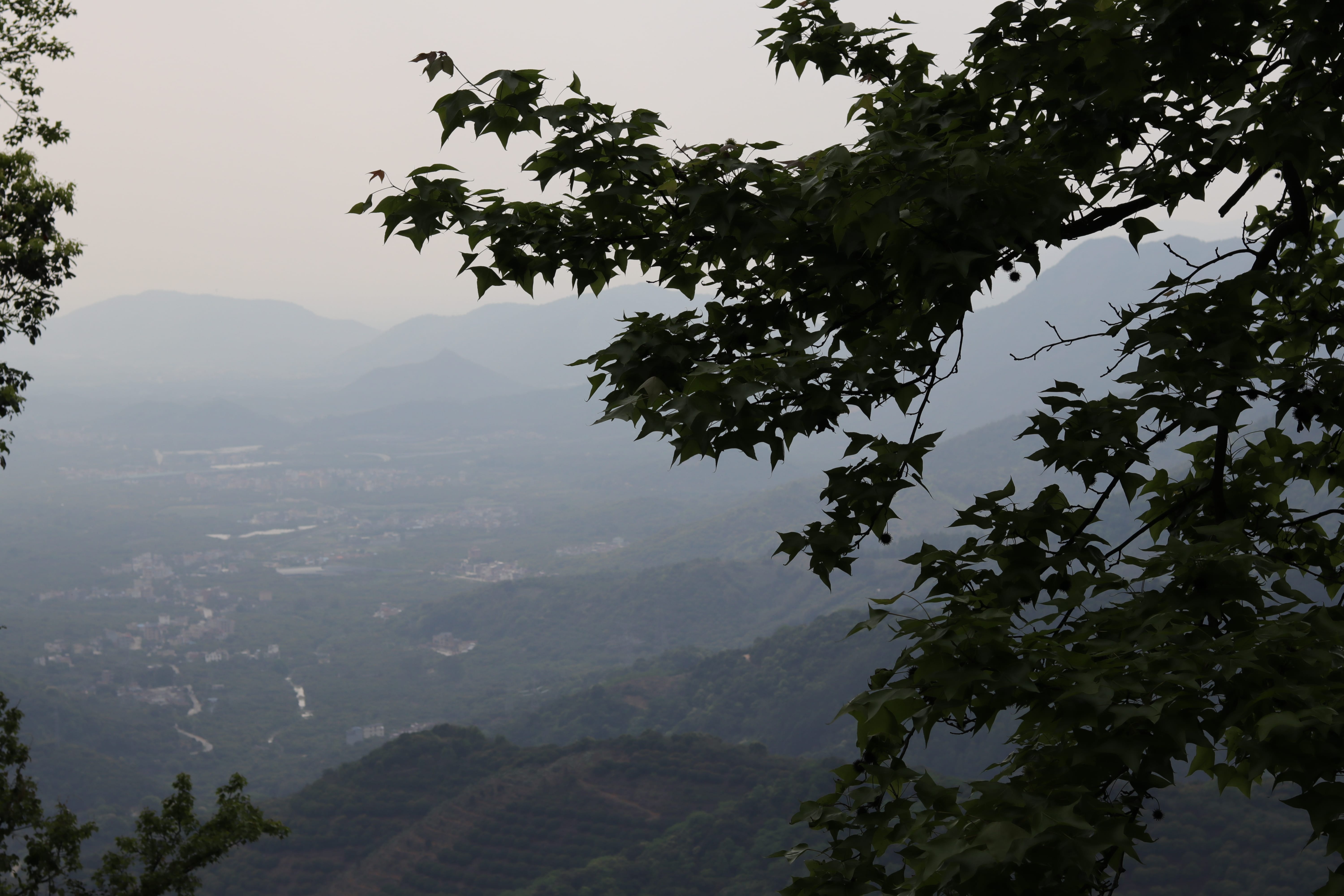 20200314150318_IMG_0655