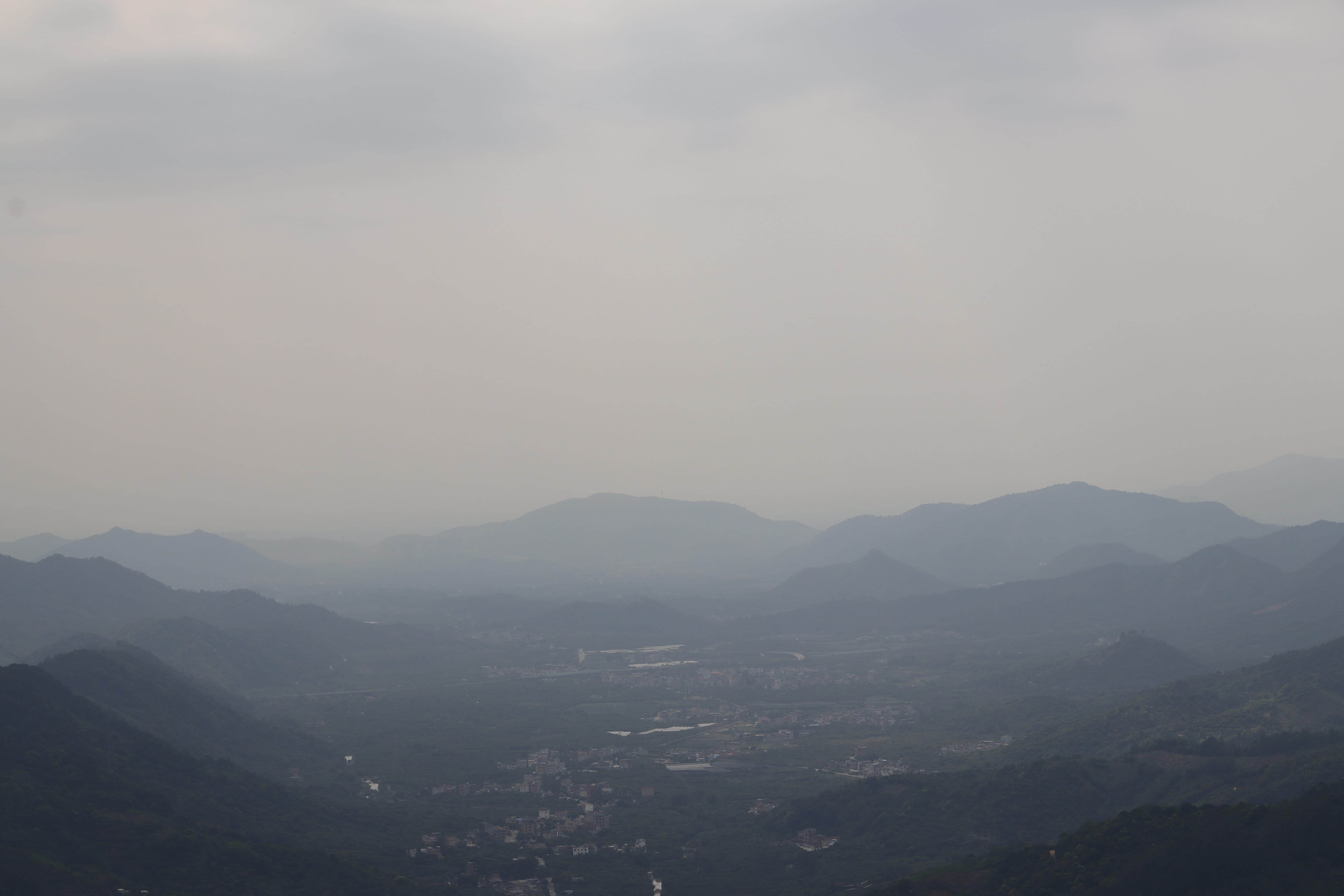 20200314150635_IMG_0660