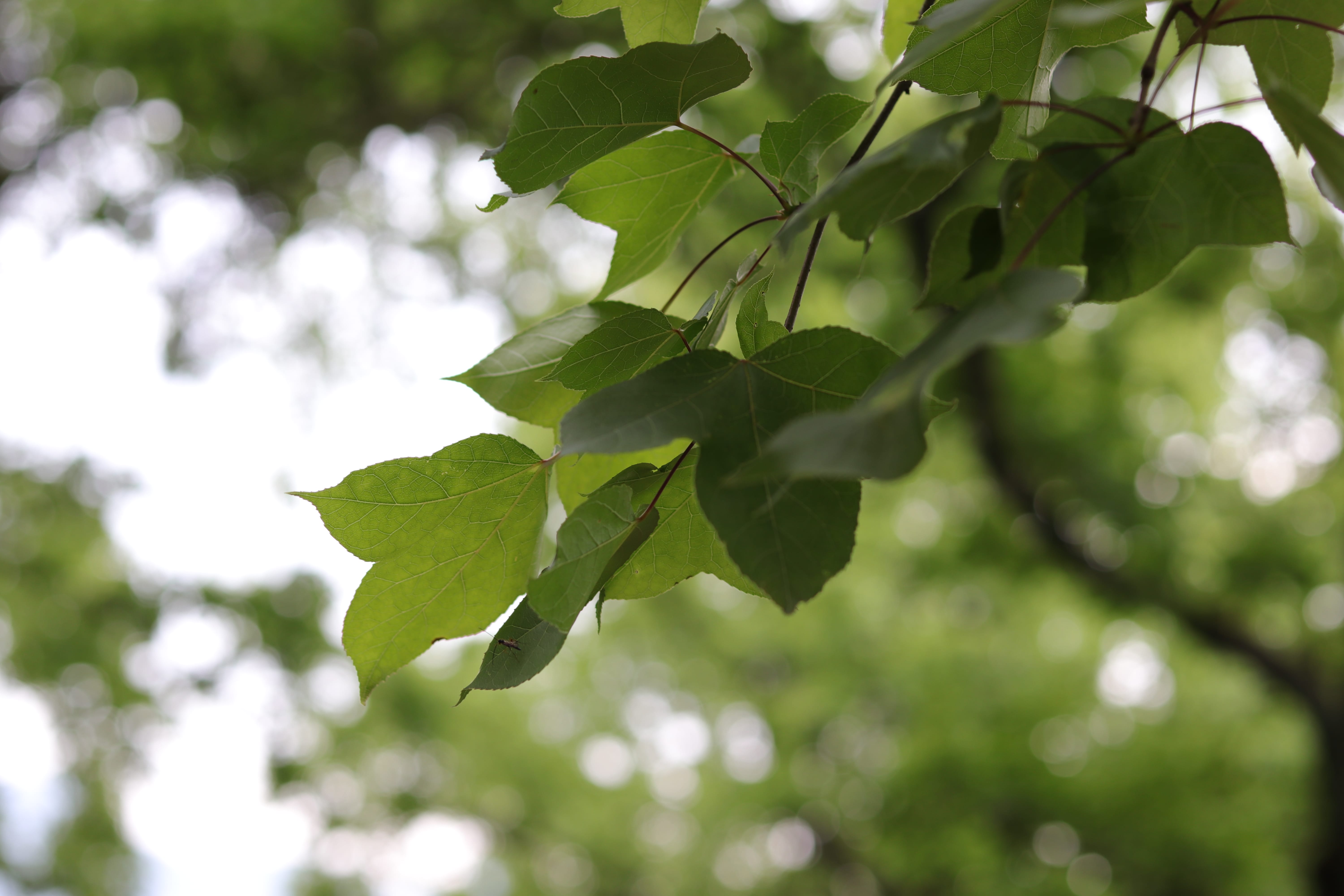 20200314150930_IMG_0662