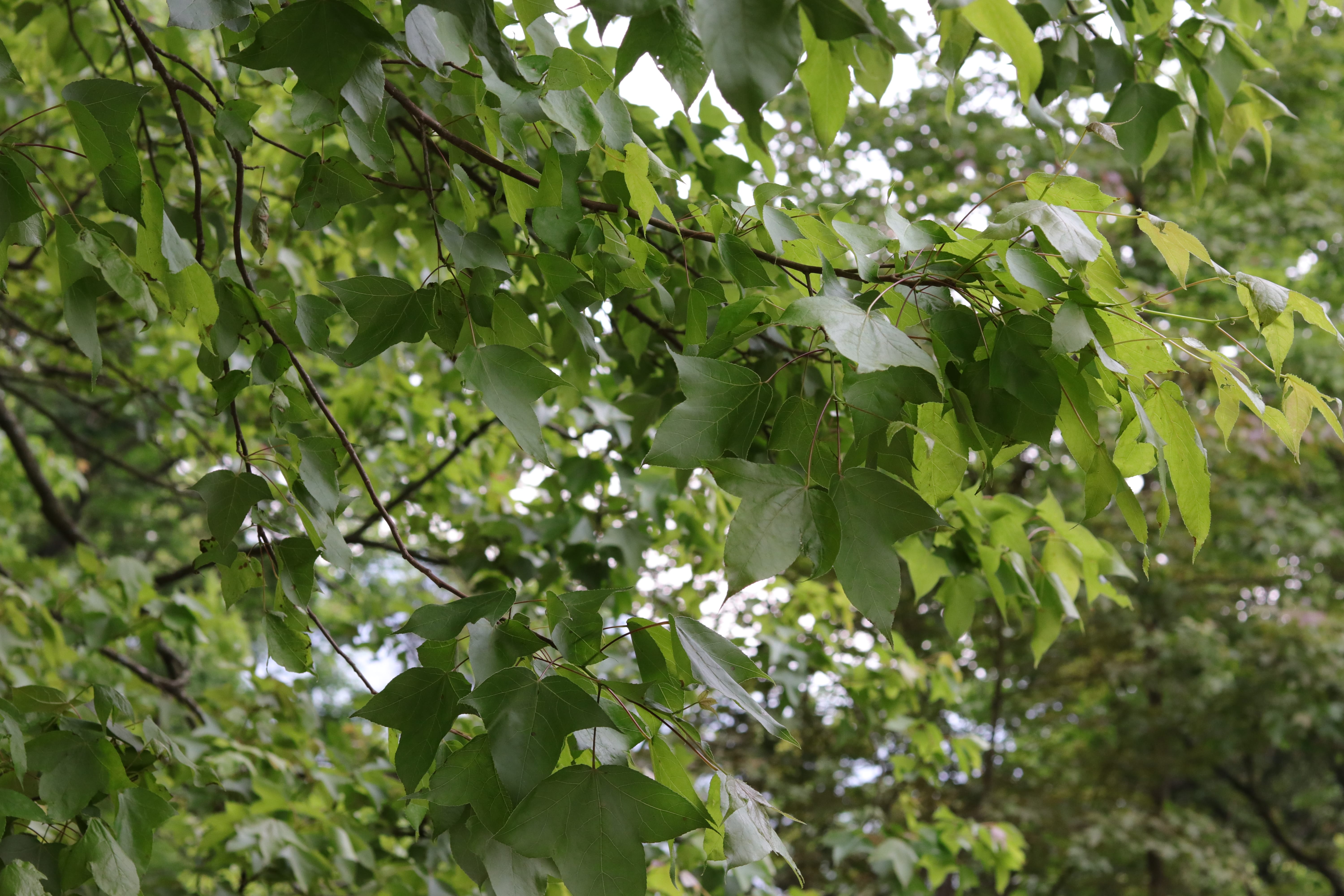 20200314151341_IMG_0668