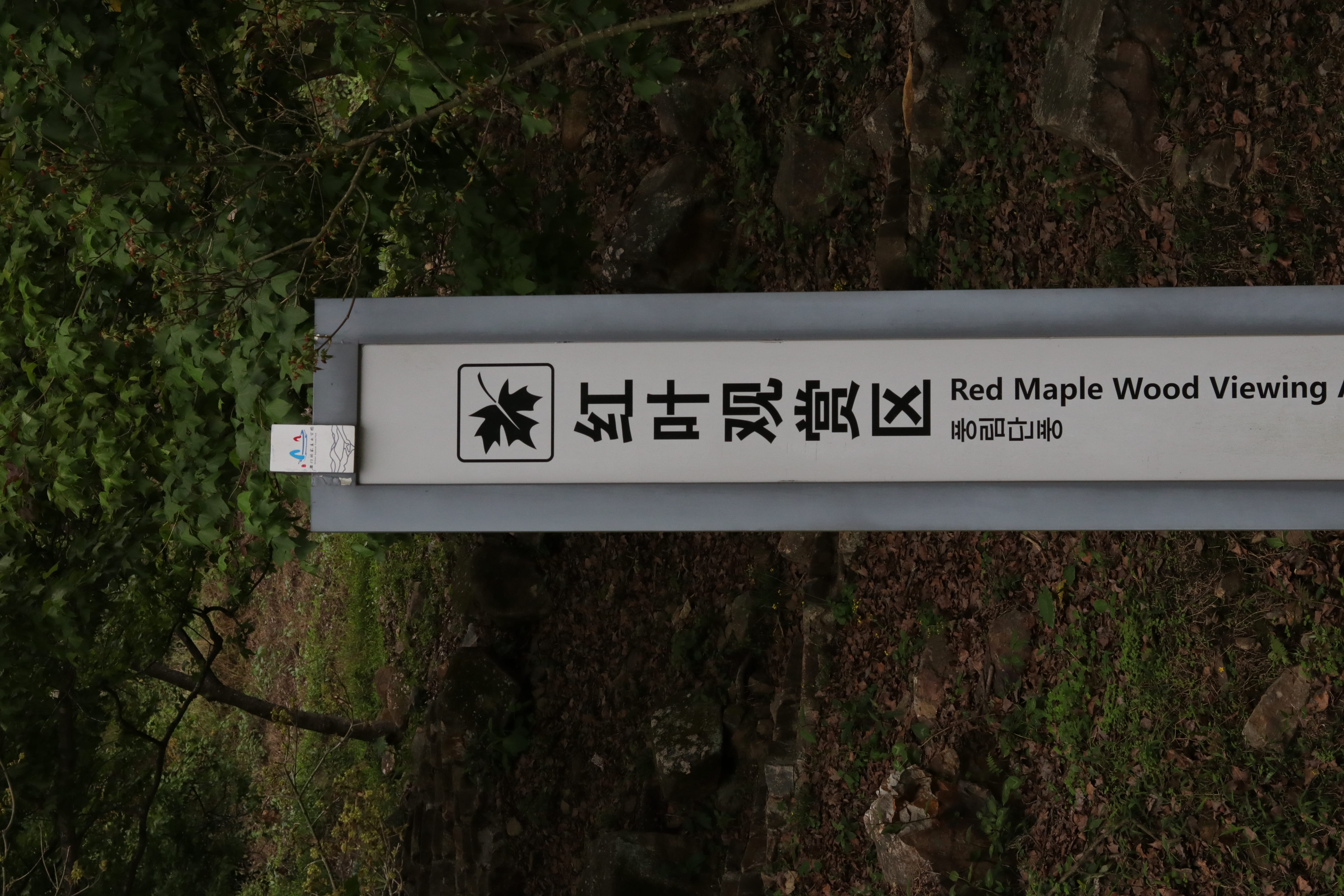 20200314151403_IMG_0670