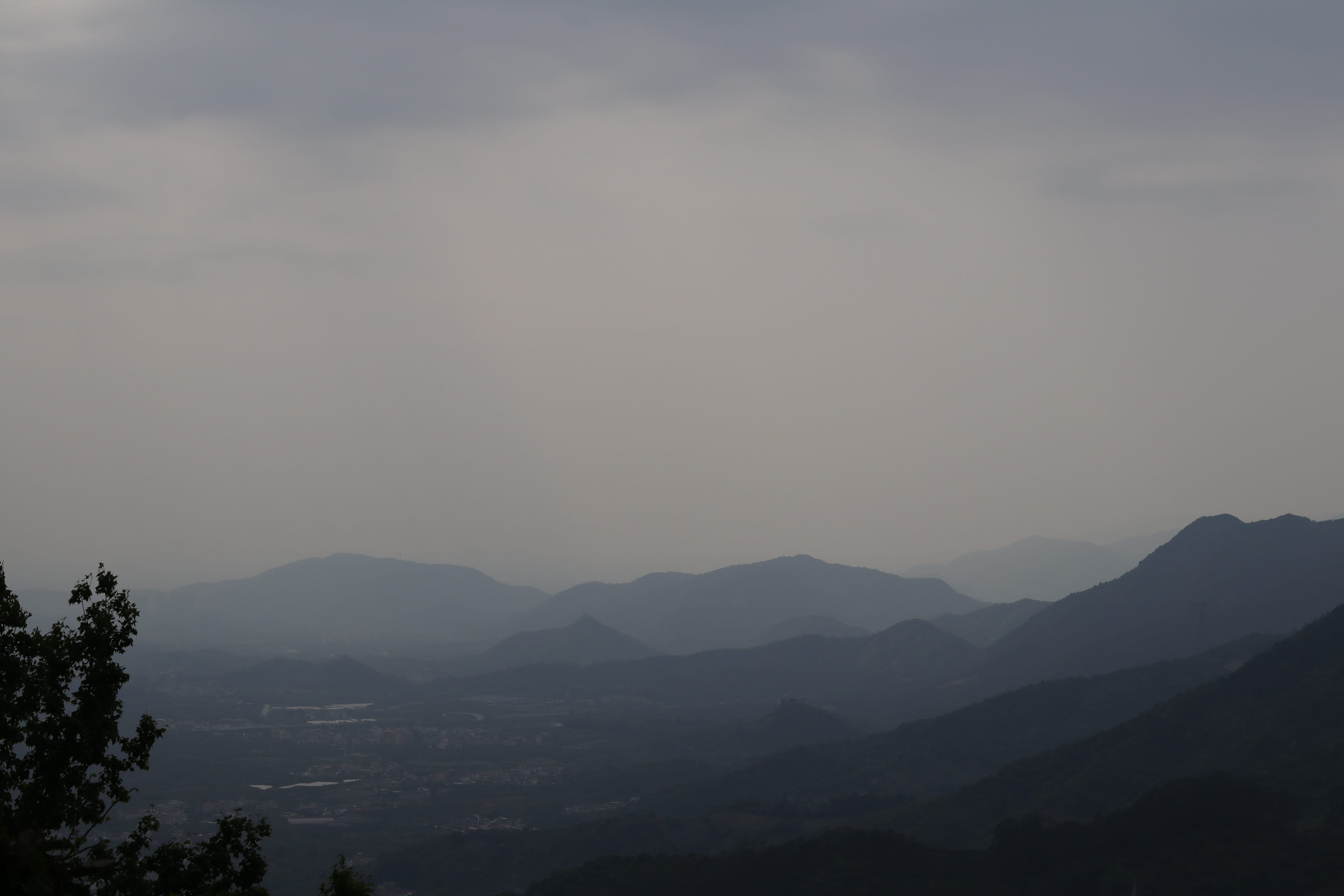 20200314151655_IMG_0674