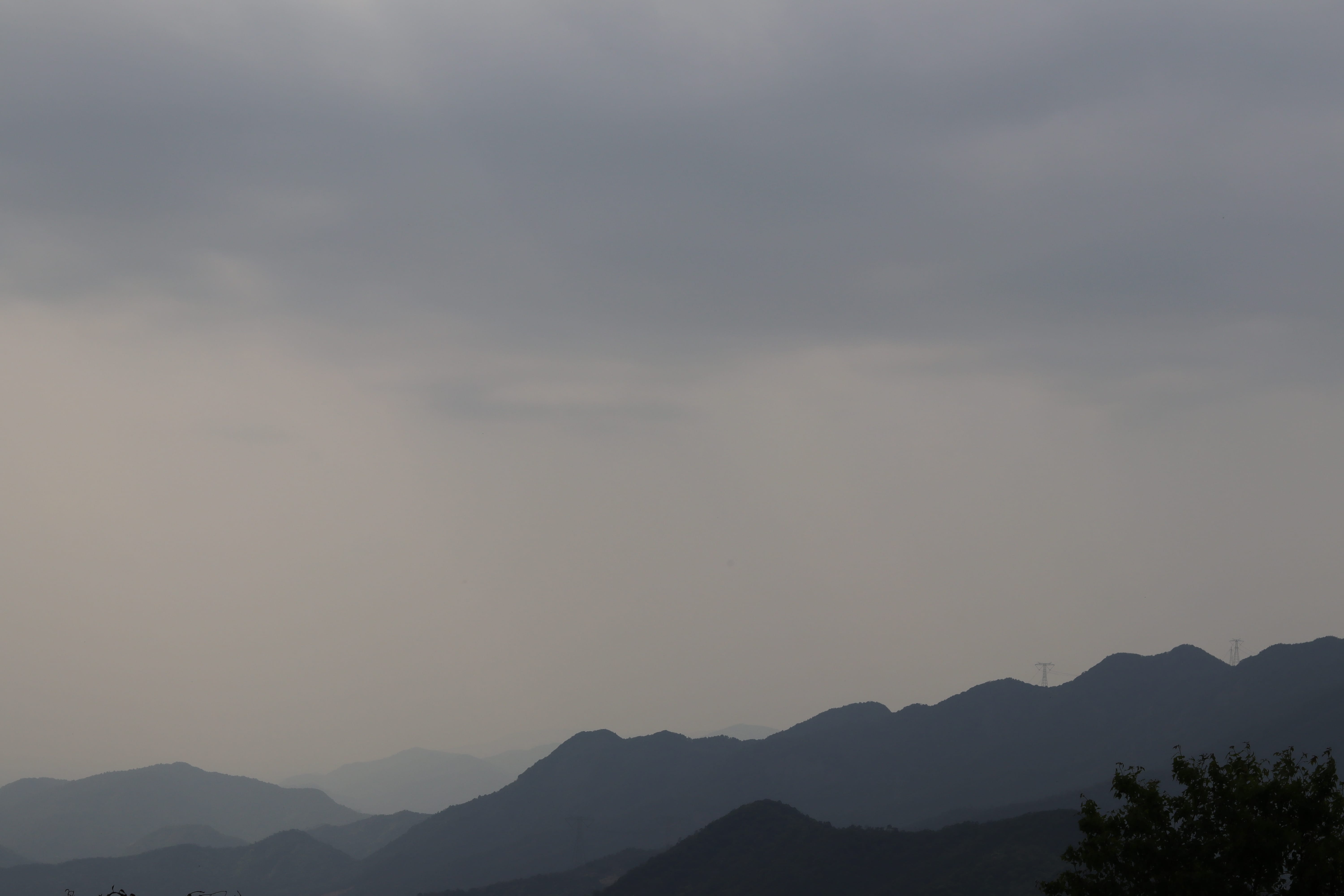 20200314151709_IMG_0675