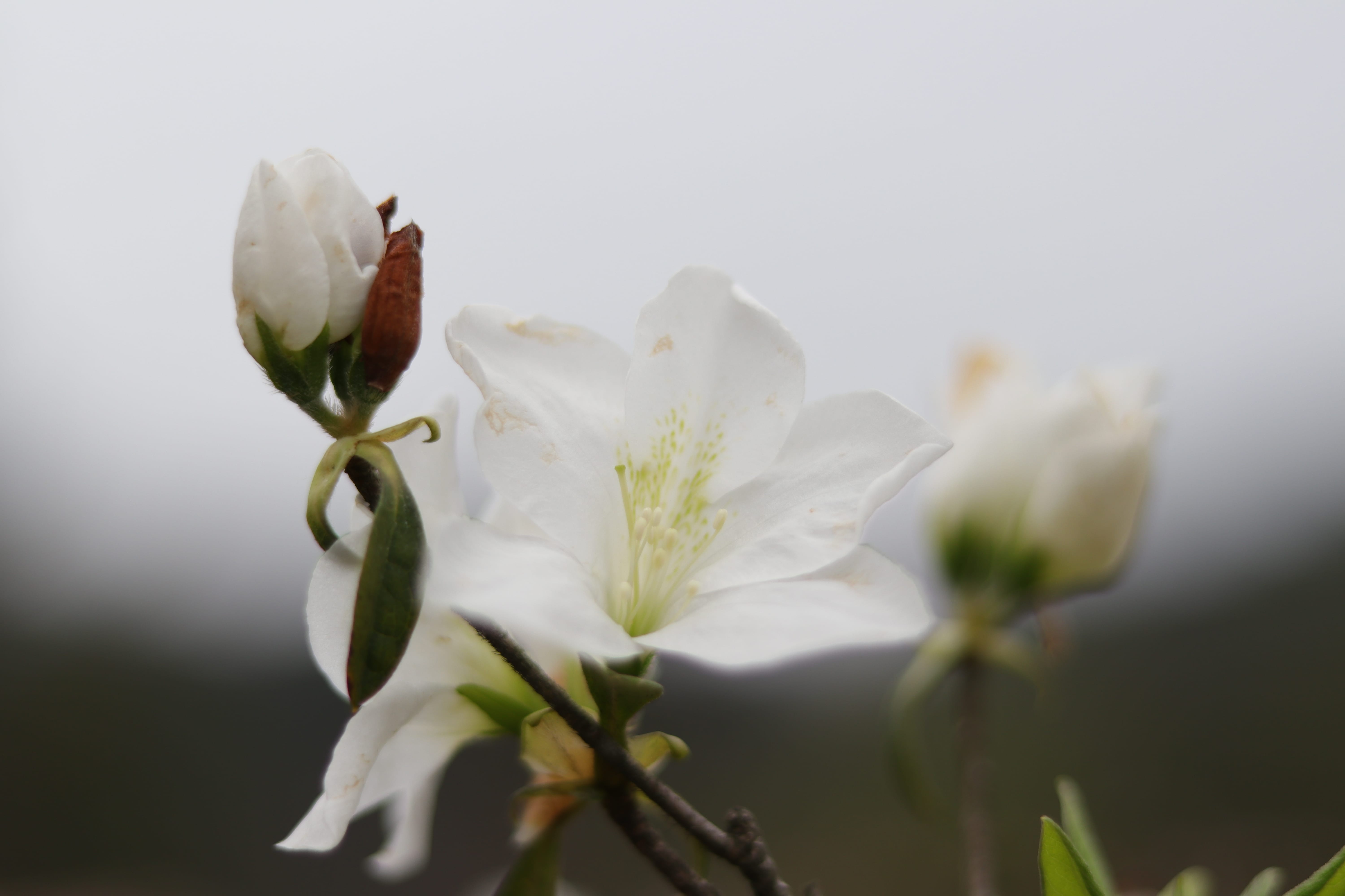 20200314154600_IMG_0682