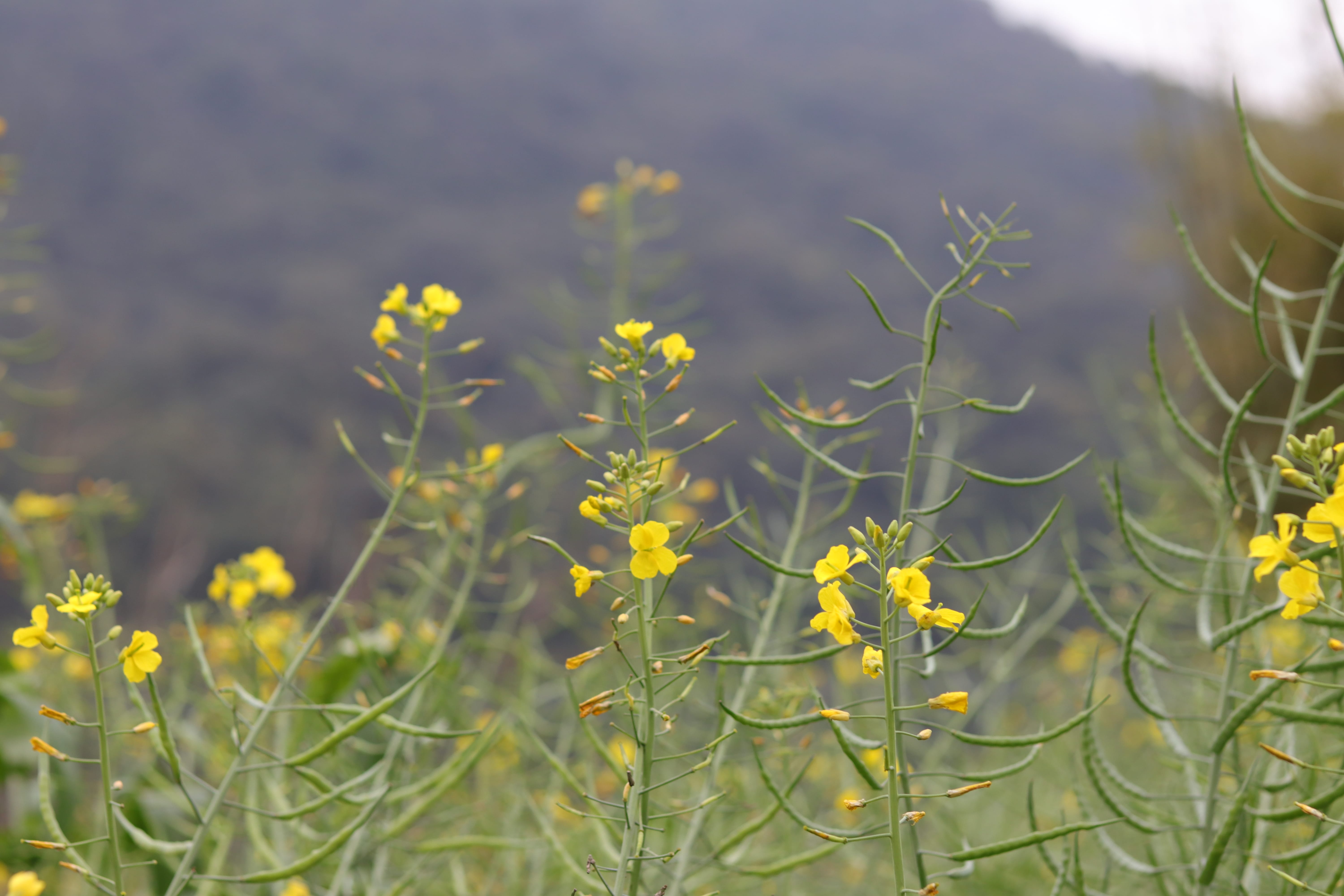 20200314171518_IMG_0701