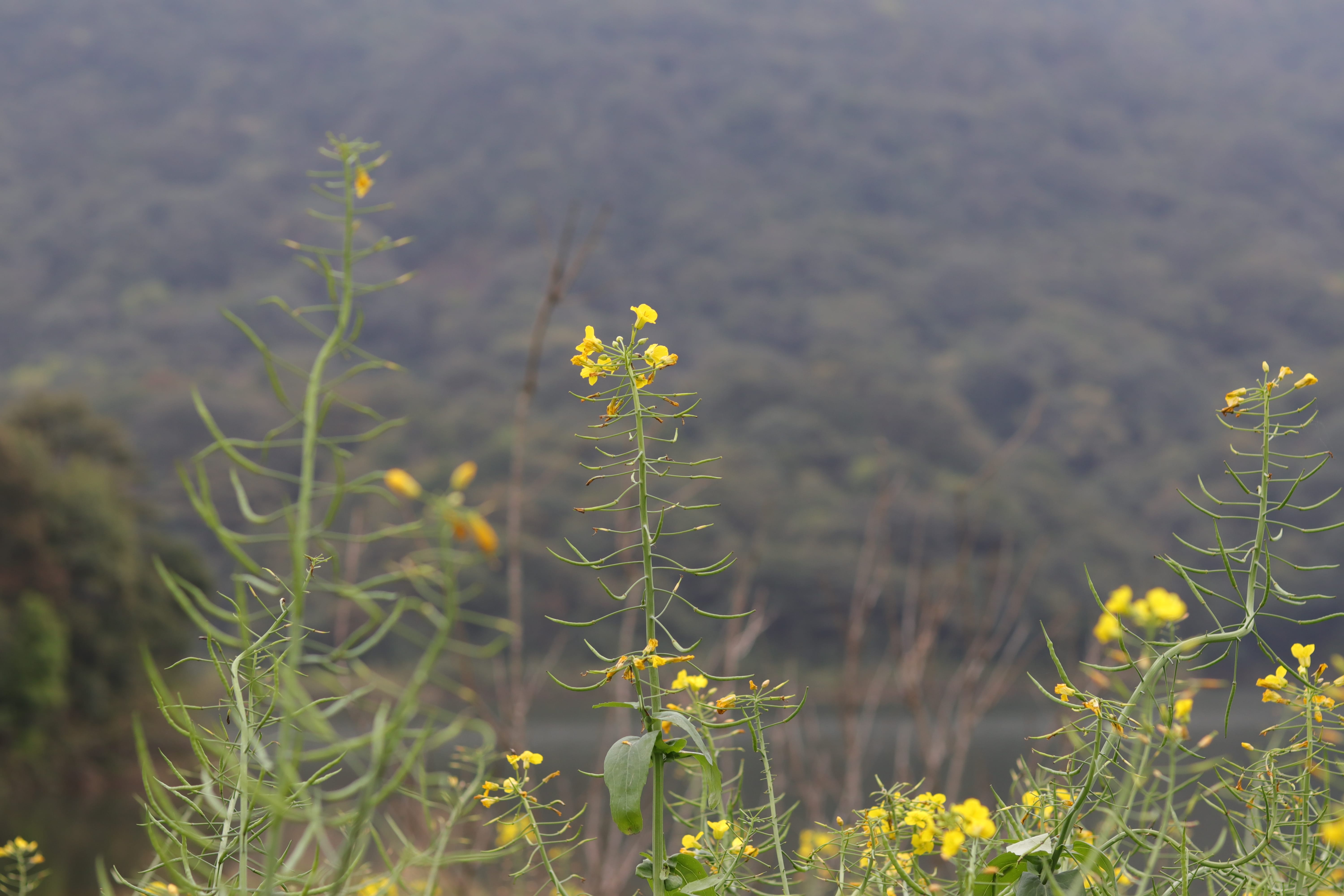 20200314171532_IMG_0703