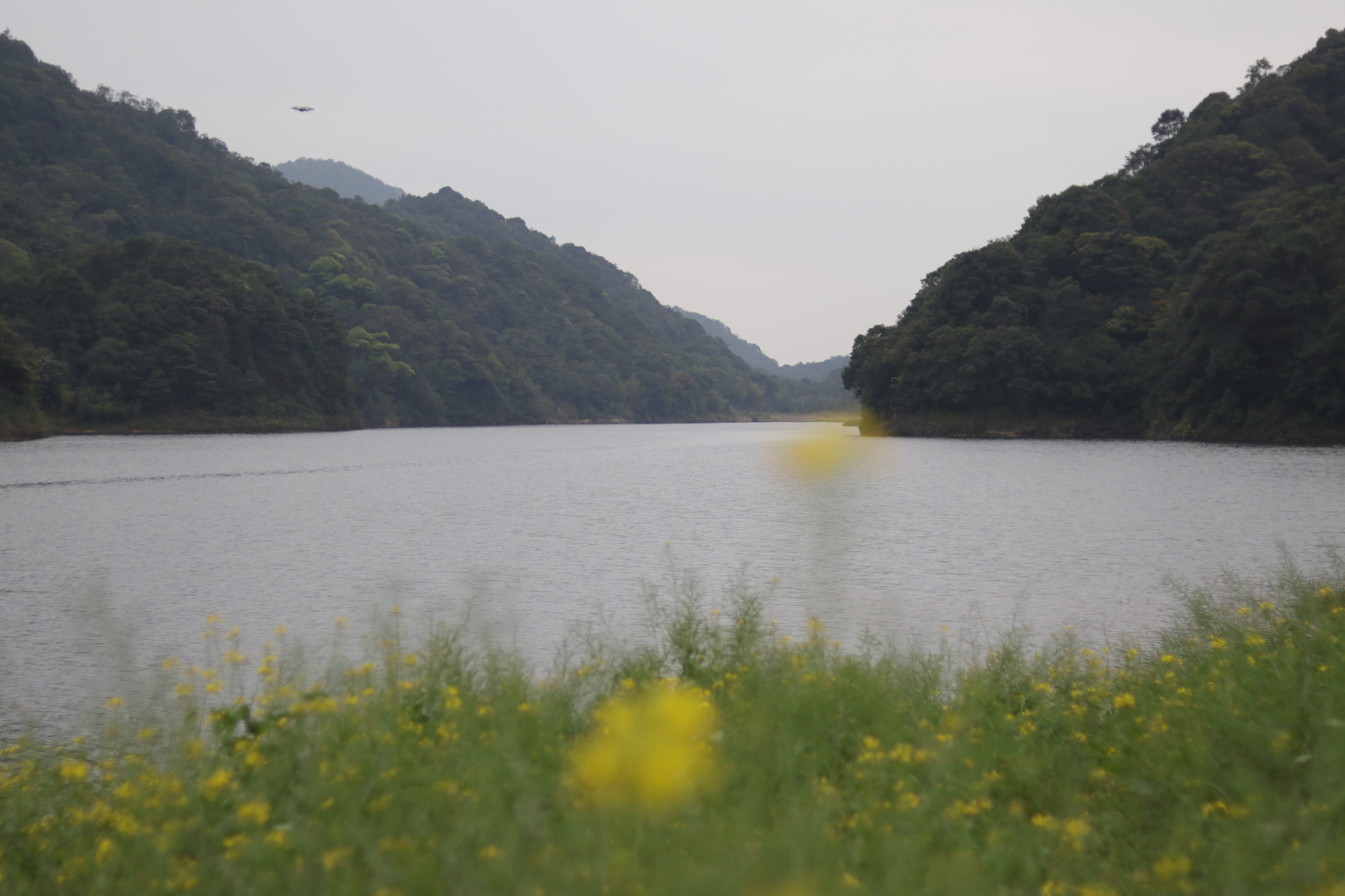 20200314172449_IMG_0710