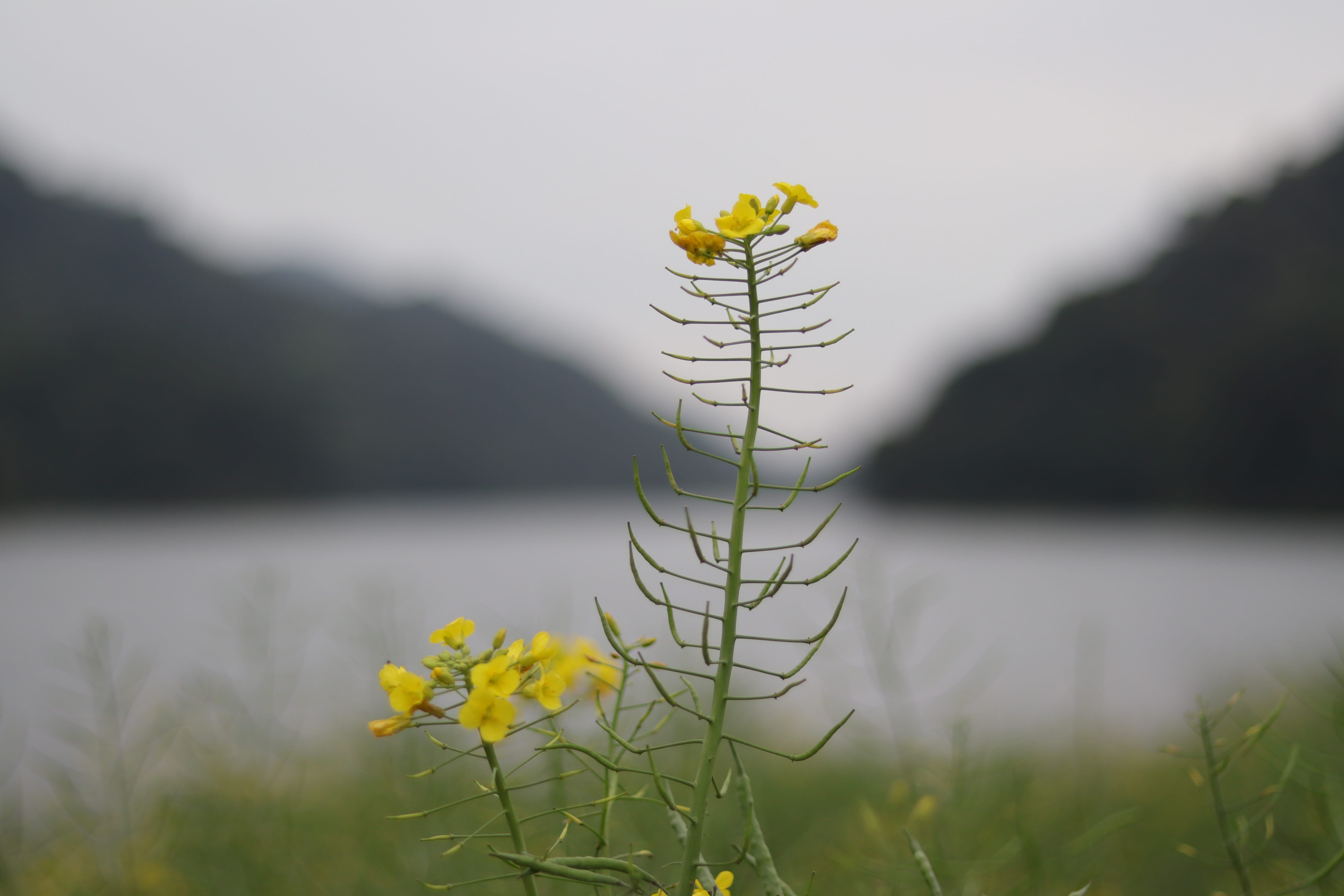 20200314172459_IMG_0711