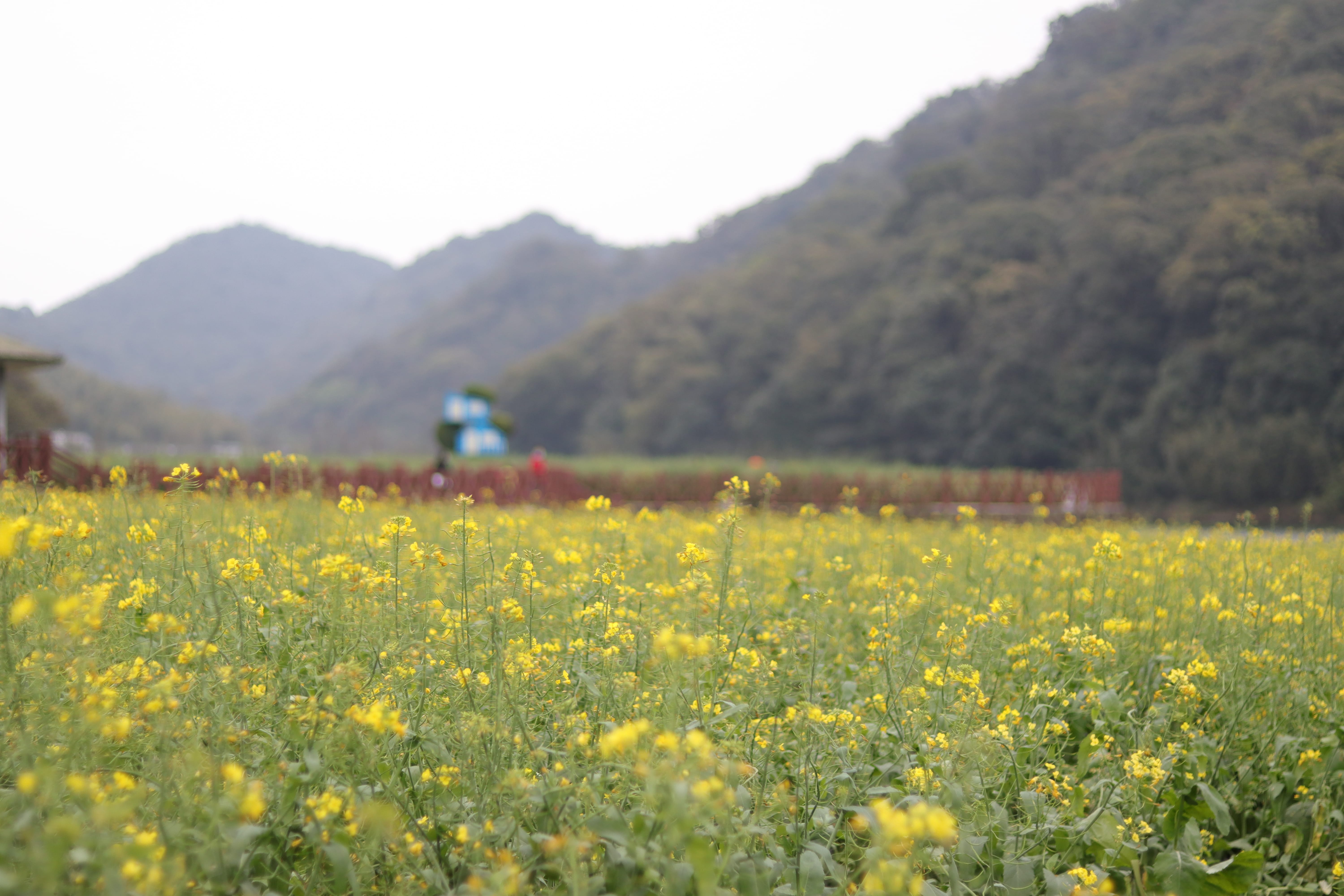 20200314172600_IMG_0715