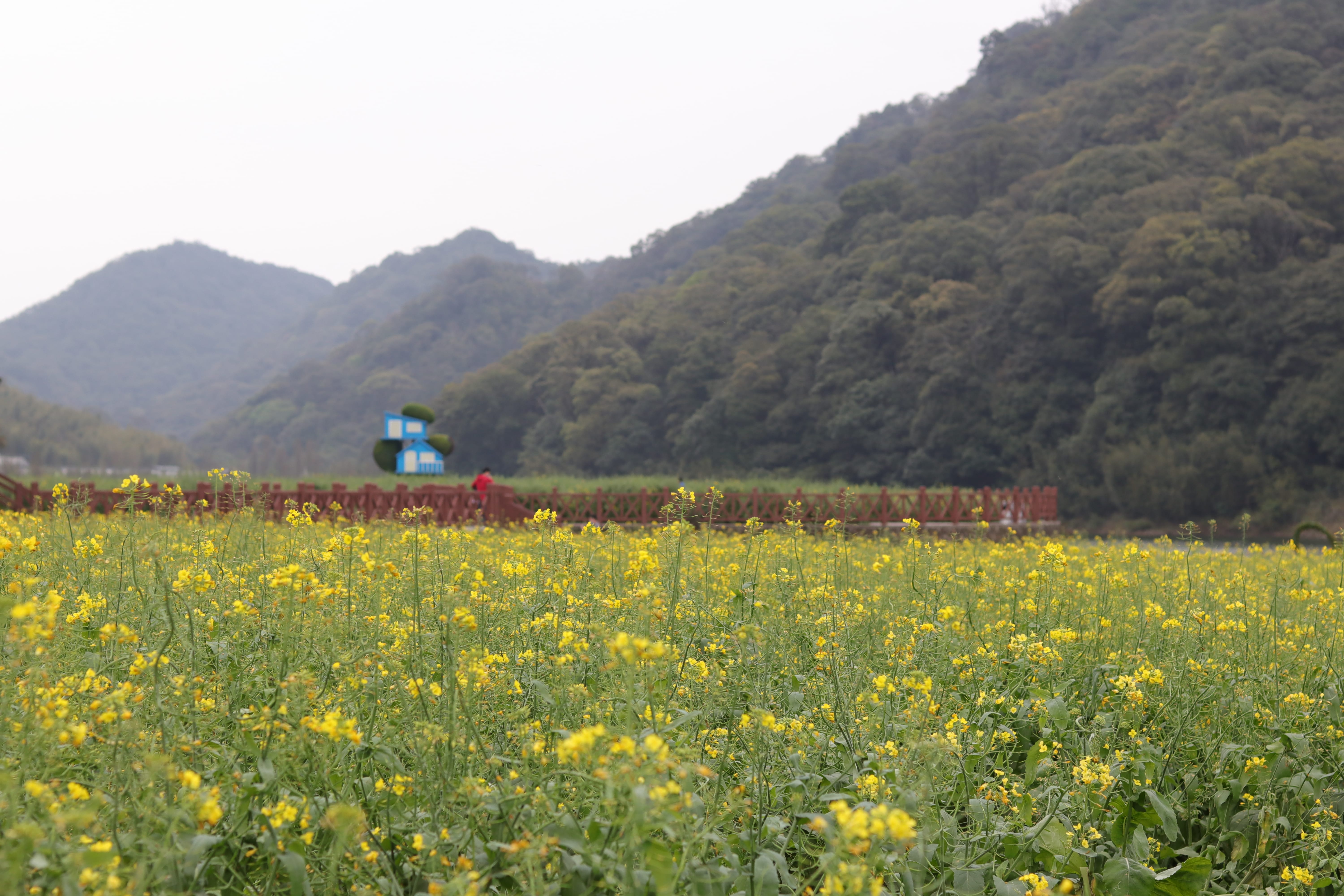 20200314172621_IMG_0717