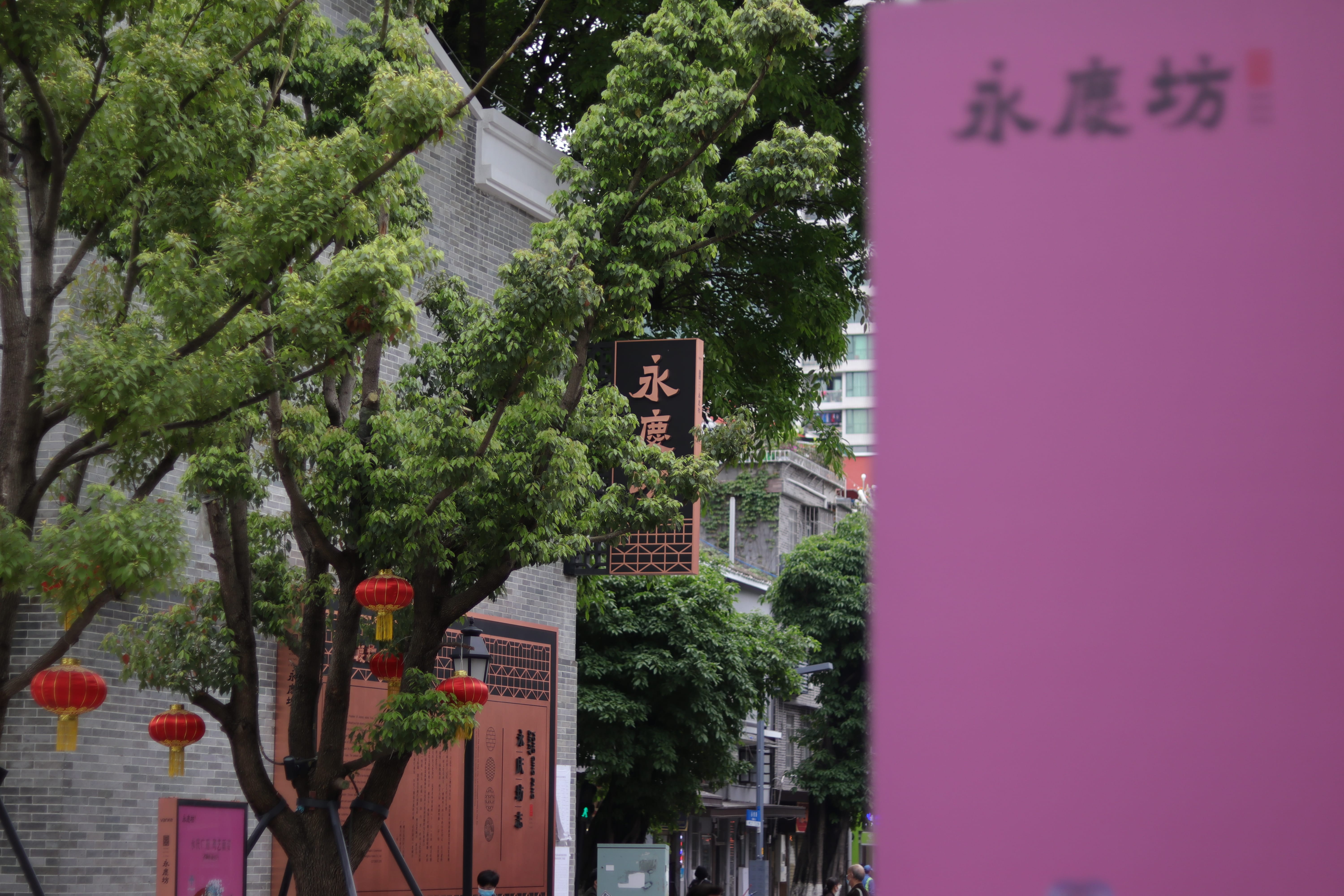 20200404144900_IMG_0760