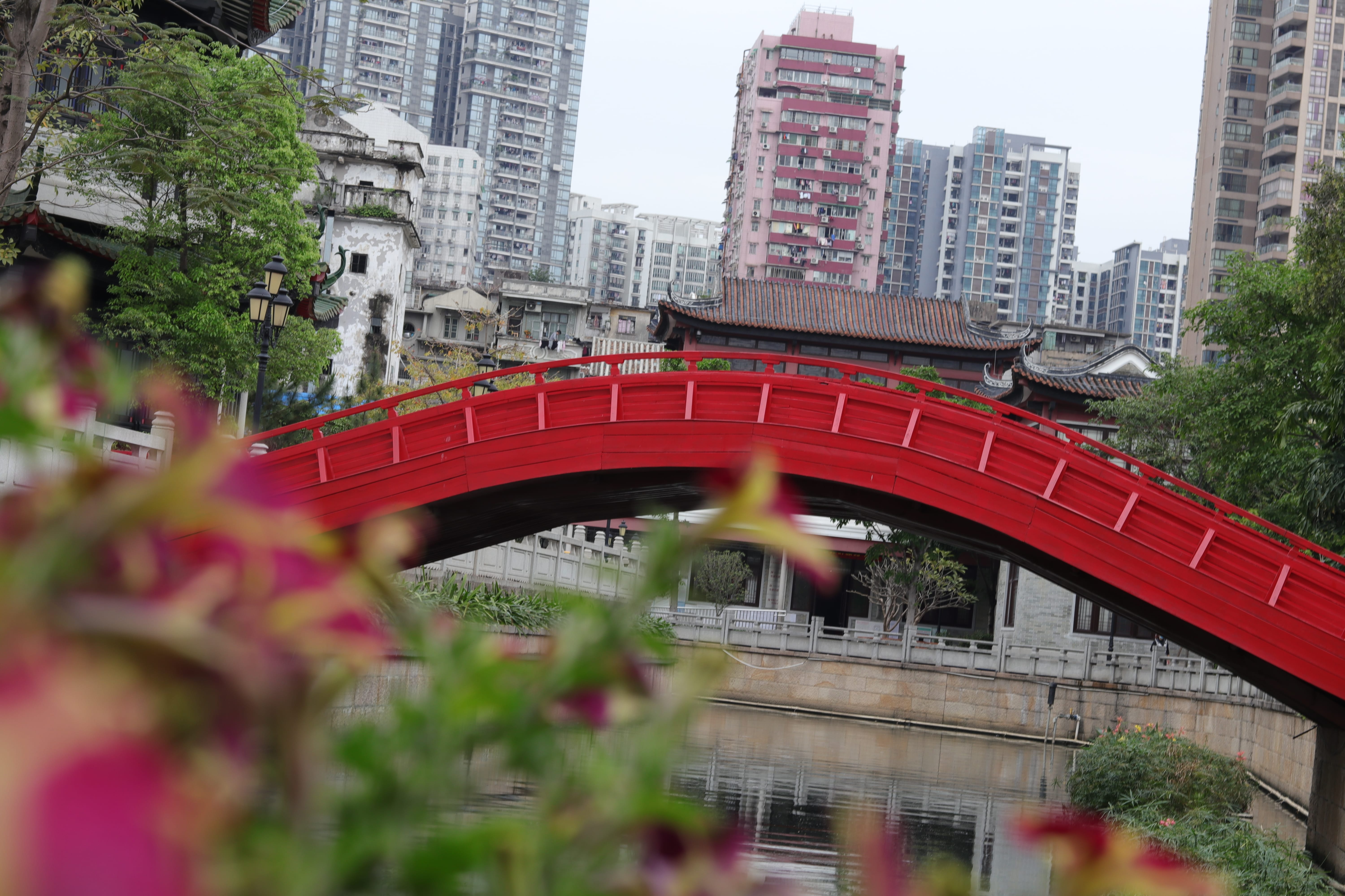 20200404150452_IMG_0771