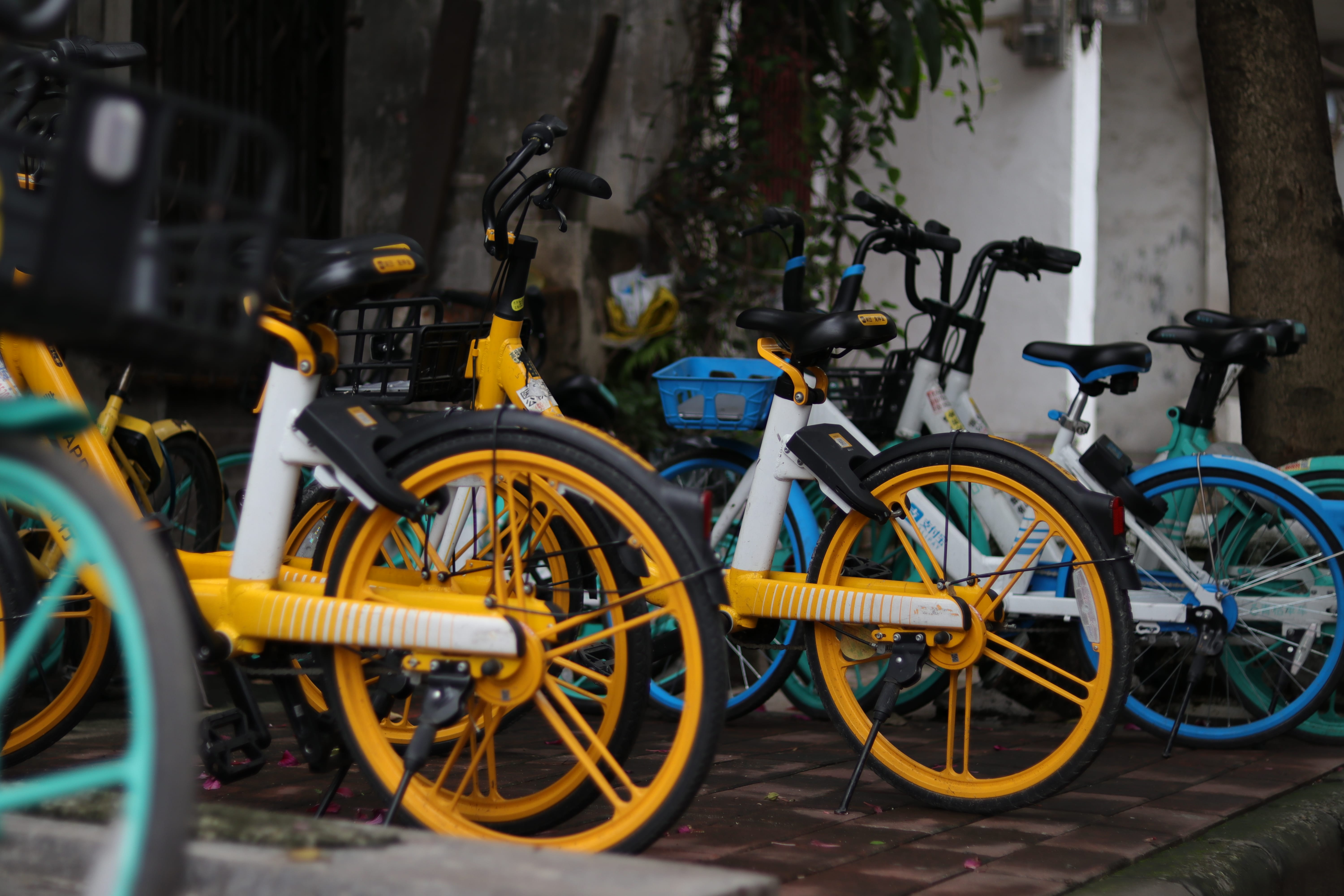 20200404151301_IMG_0777