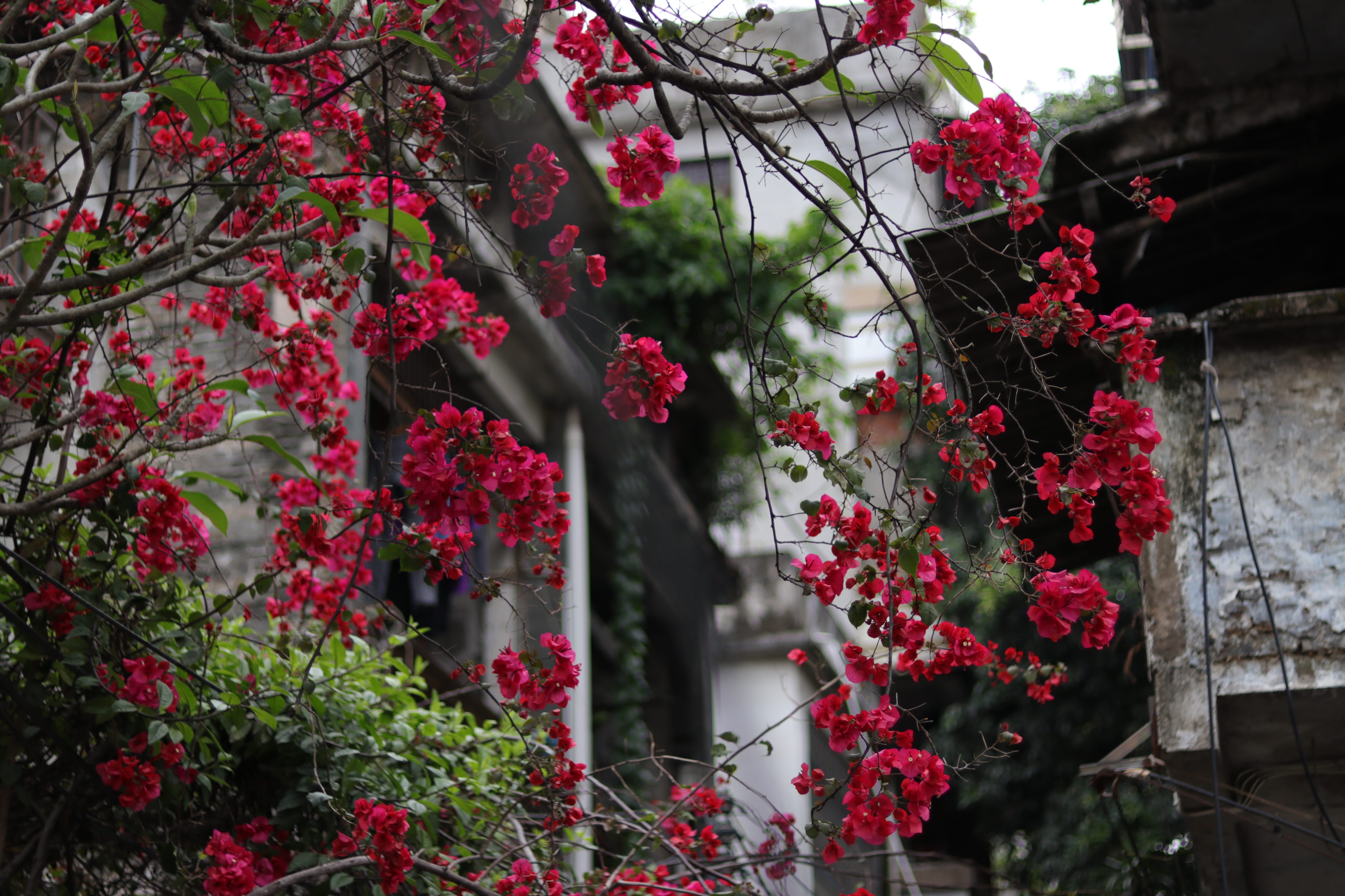 20200404151517_IMG_0778