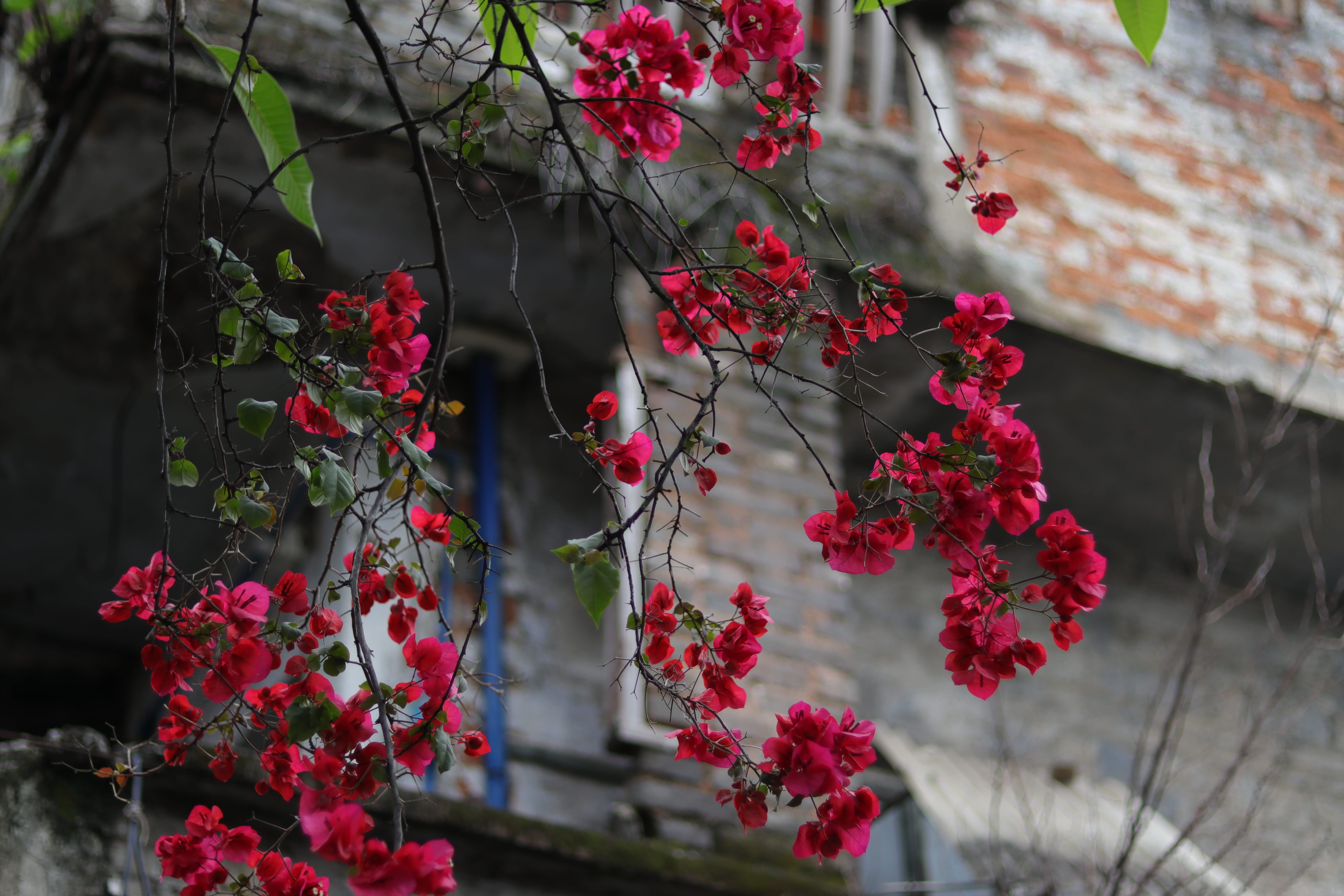 20200404151619_IMG_0780