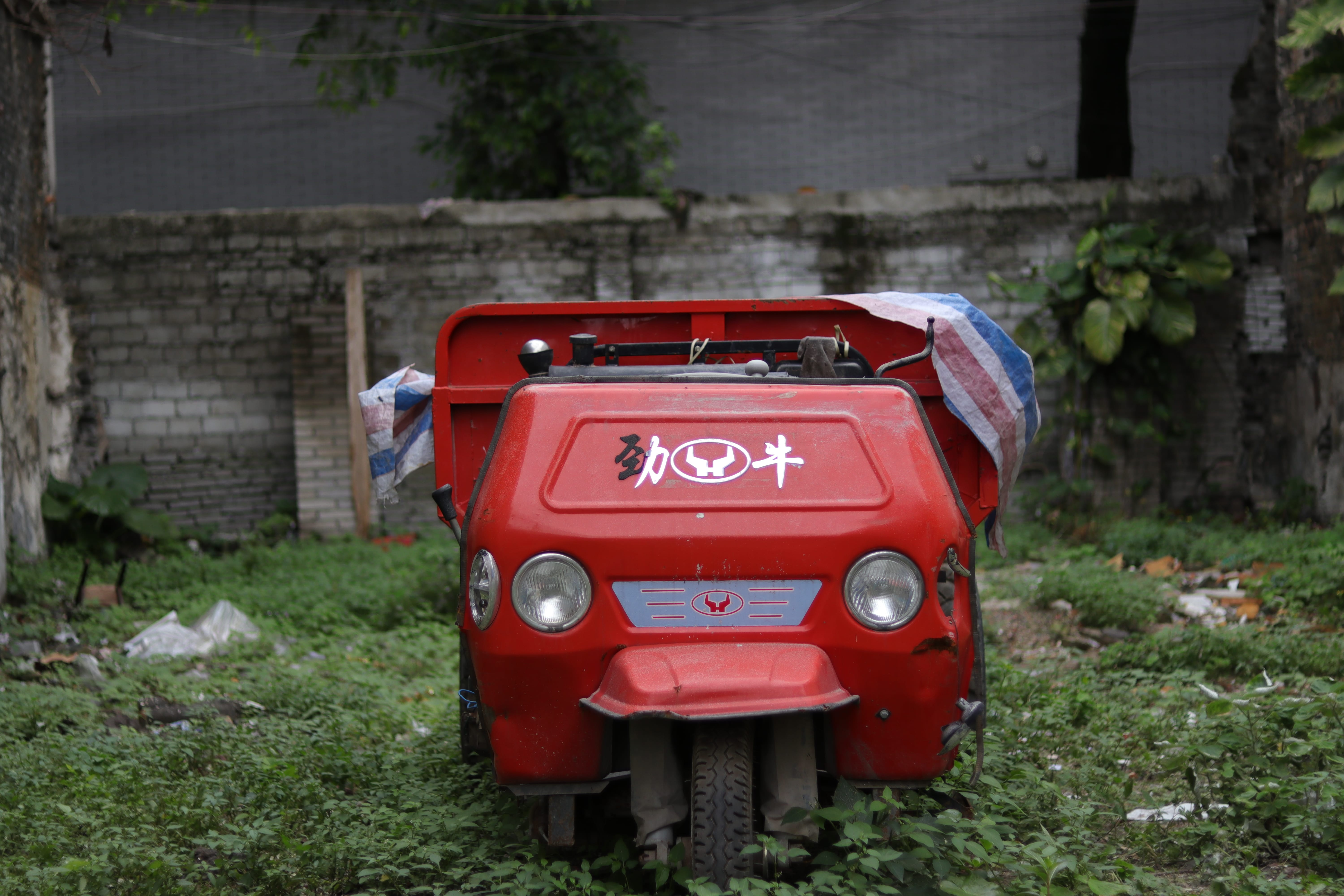 20200404152234_IMG_0781