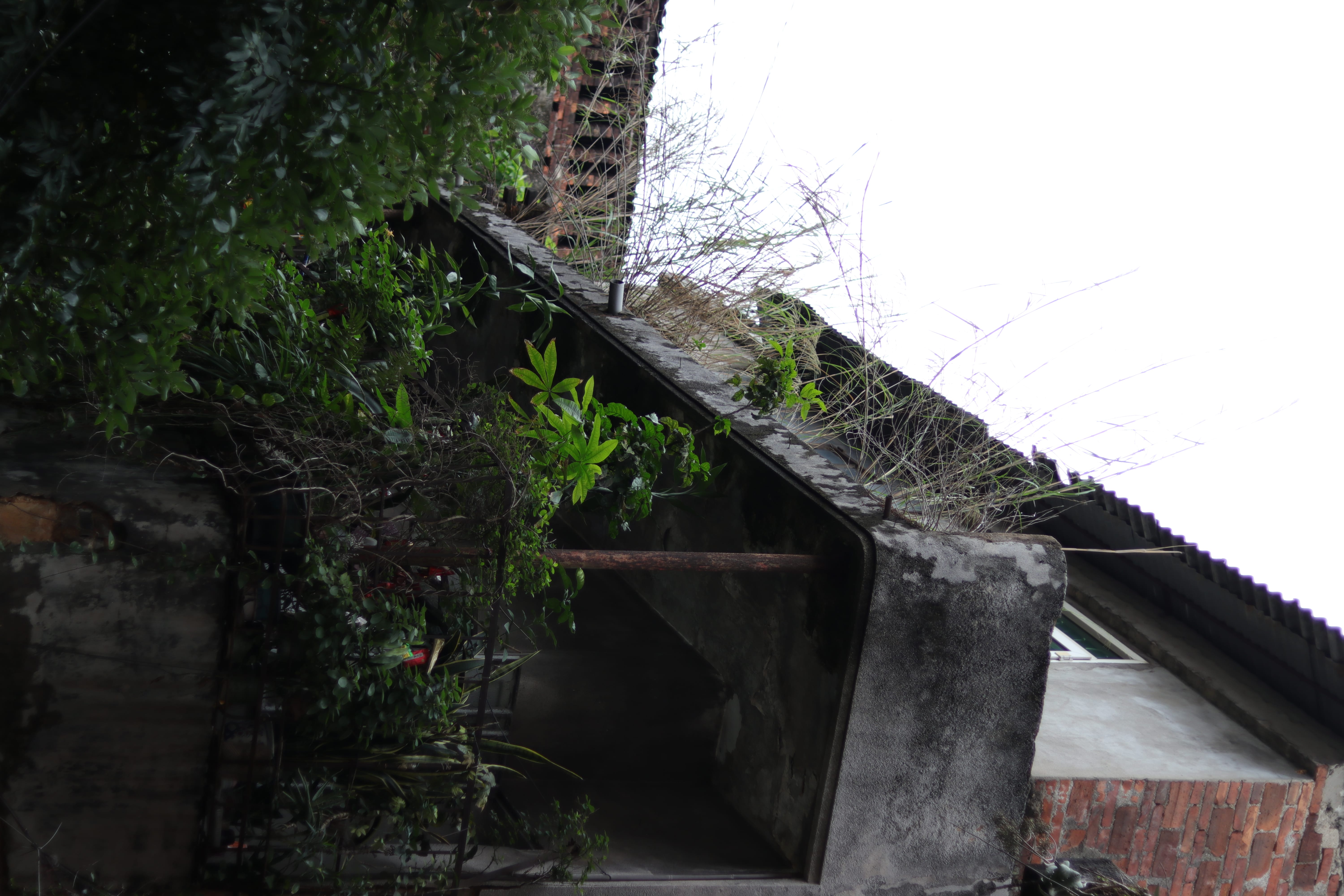 20200404160153_IMG_0786