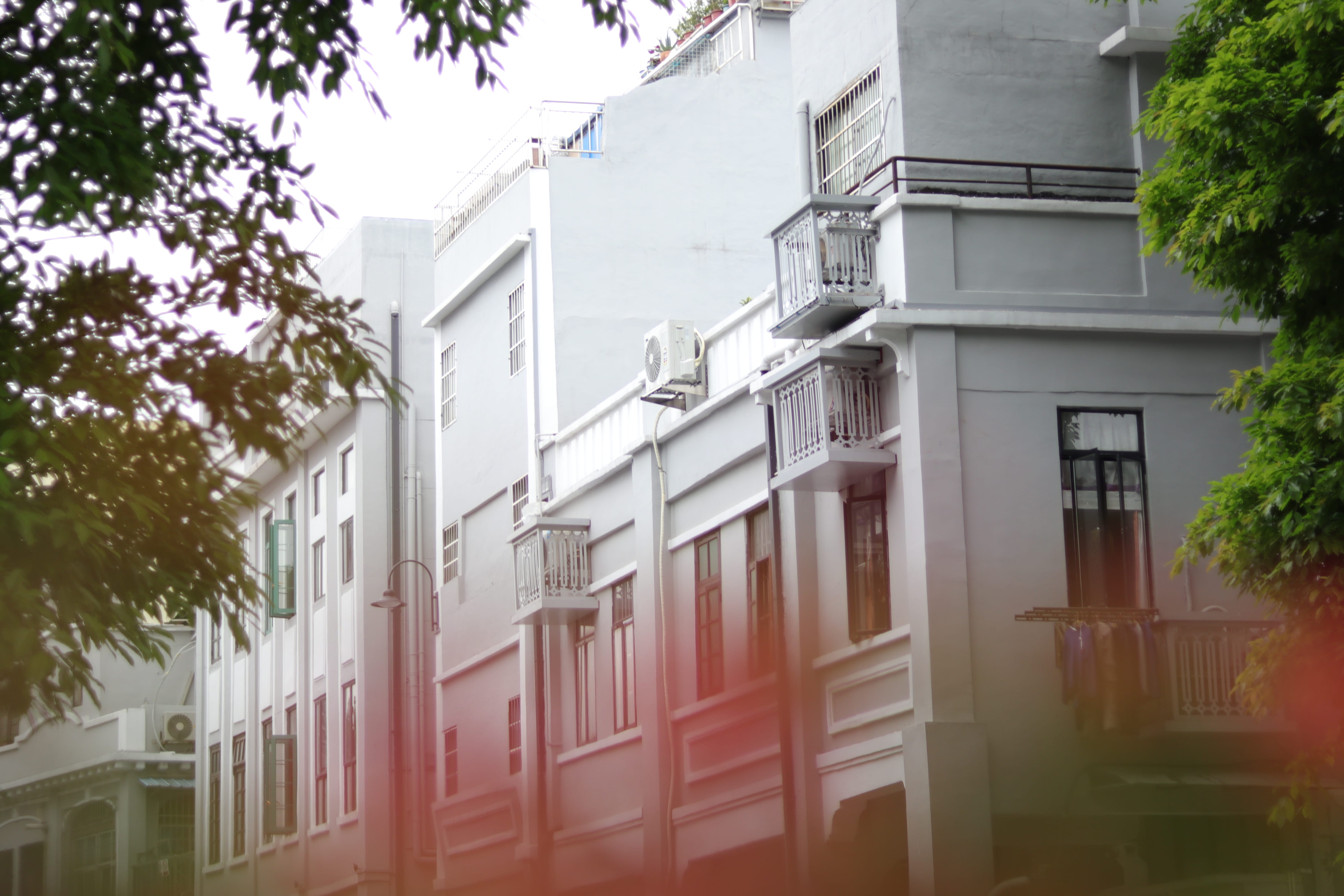 20200404161239_IMG_0794