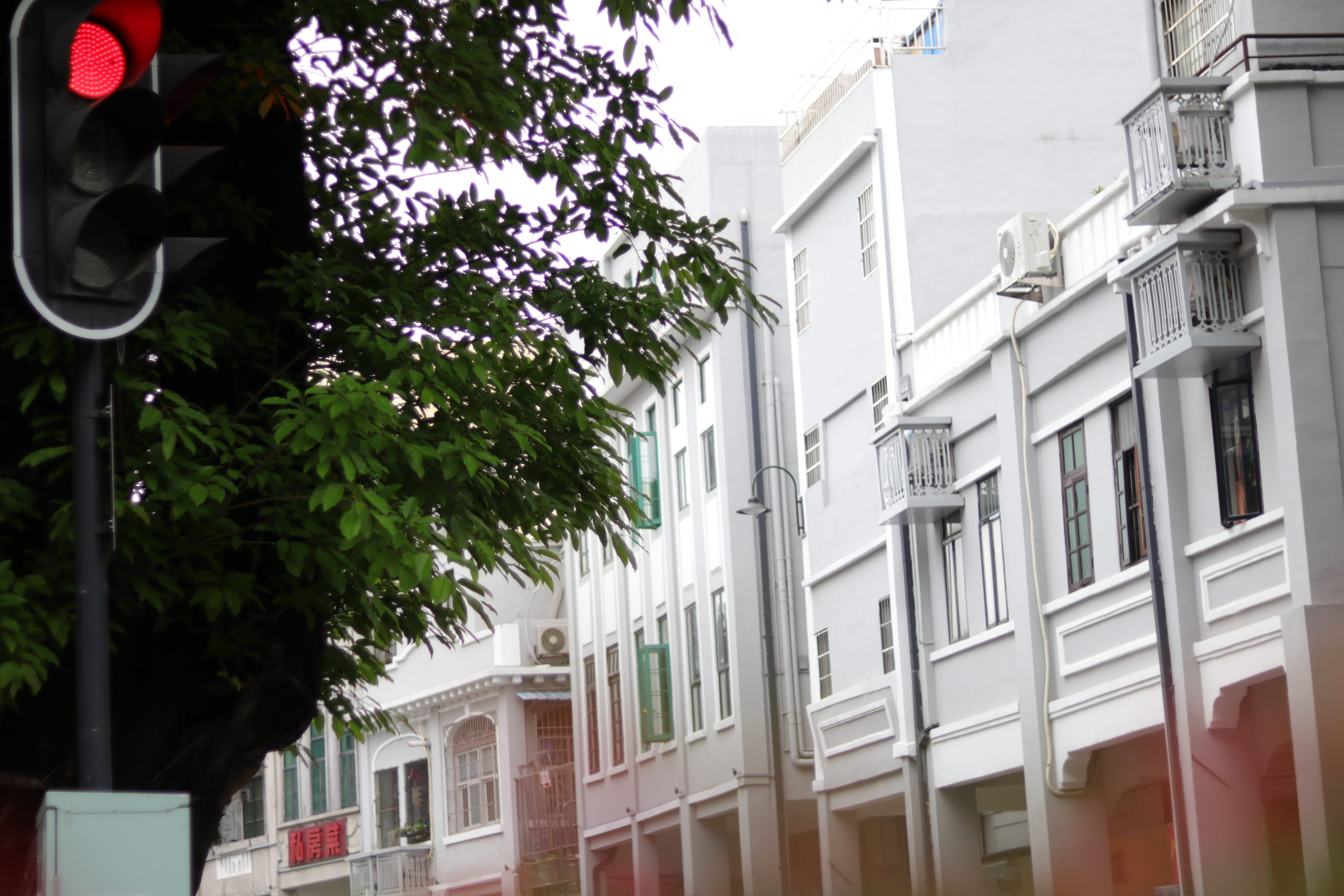 20200404161300_IMG_0795