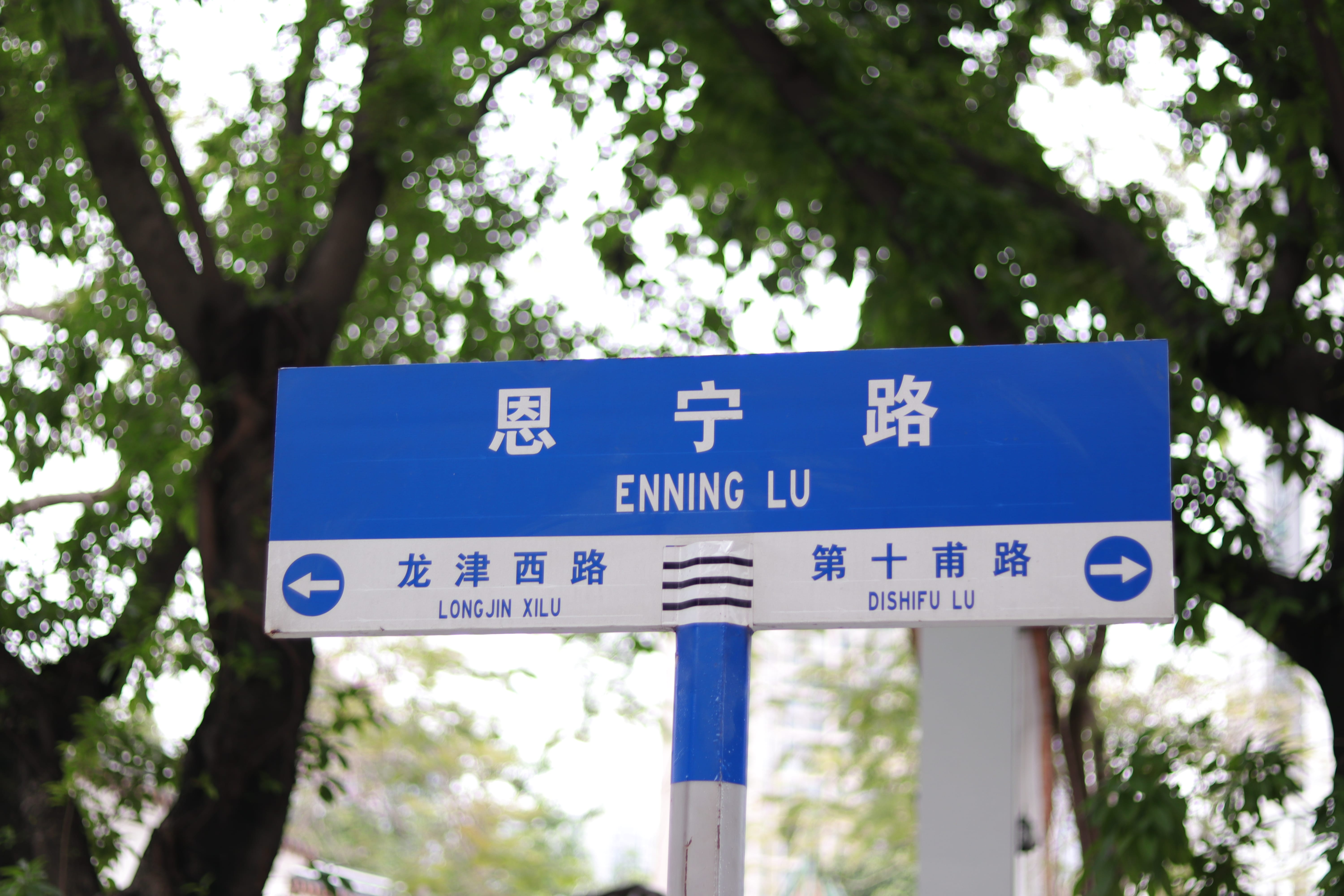 20200404162536_IMG_0809