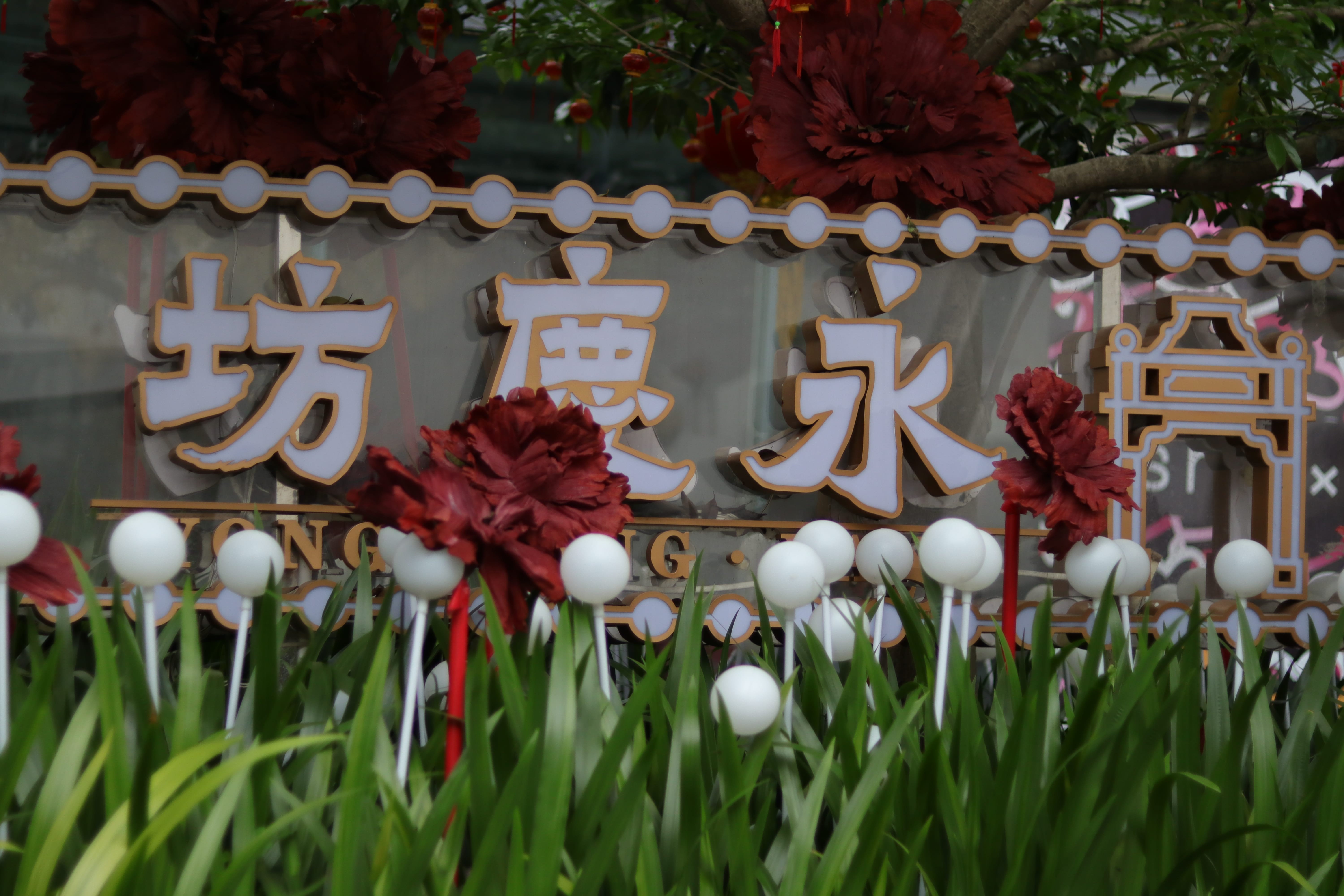 20200404165432_IMG_0834_1