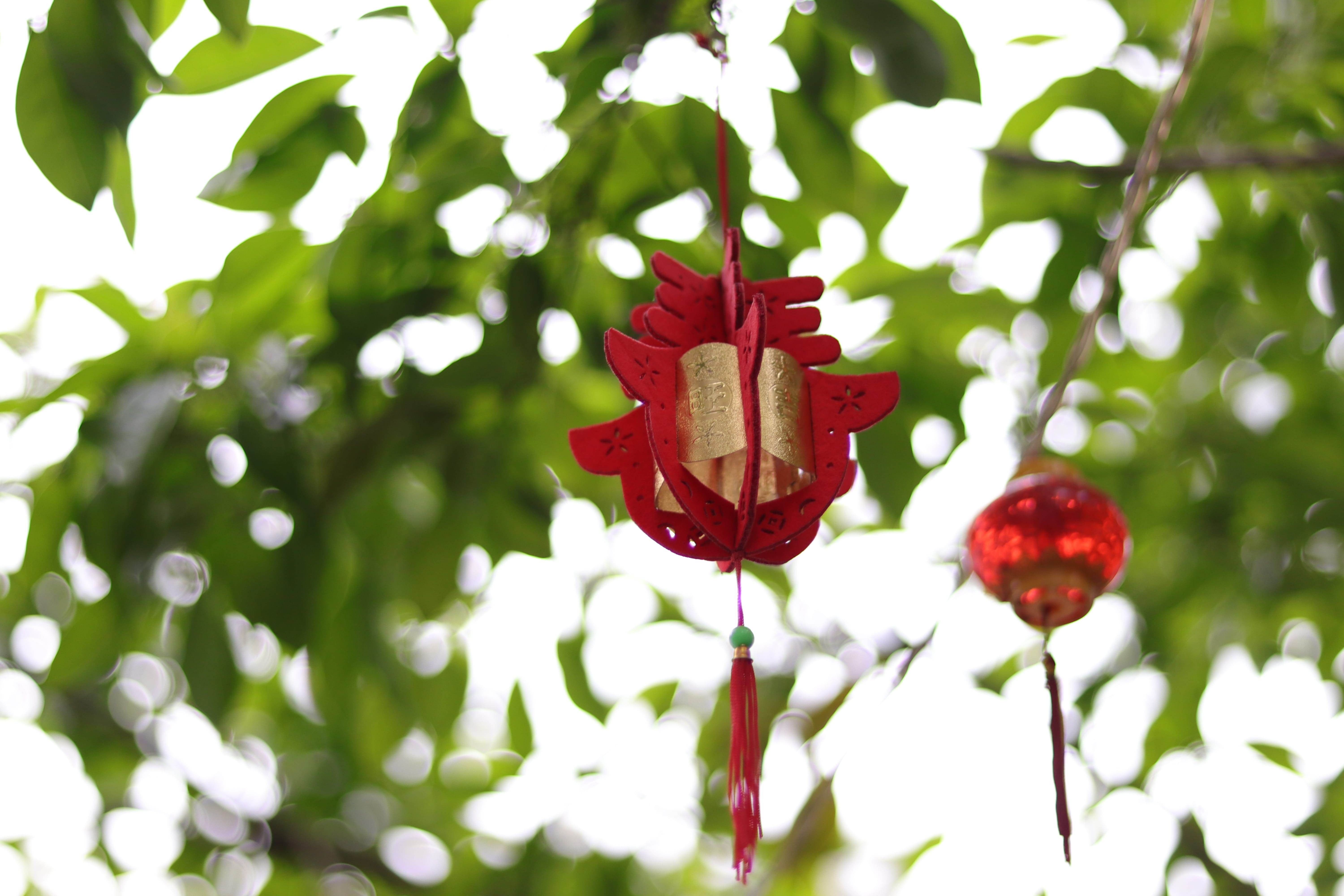 20200404165539_IMG_0836_1