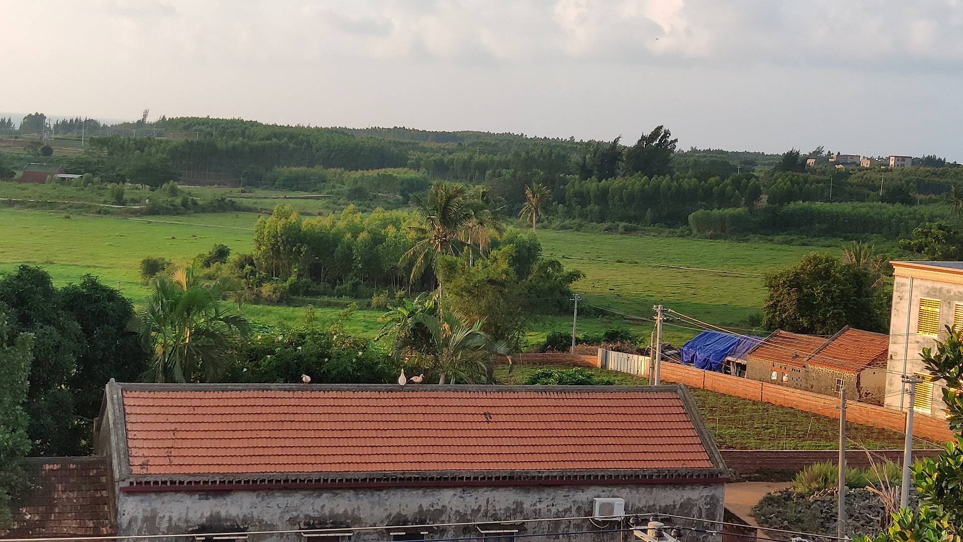 IMG_20191005_070412_1