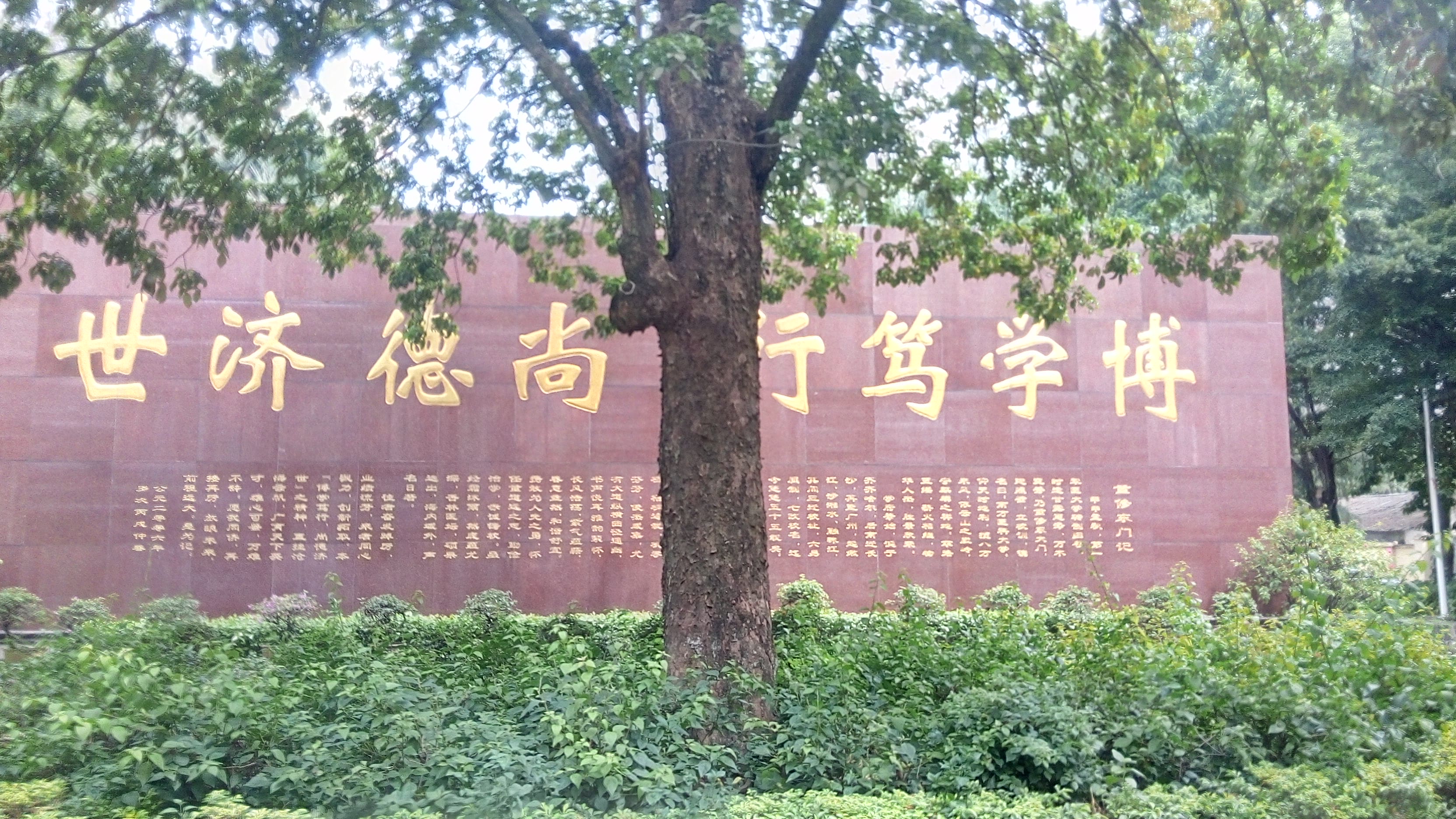 IMG_20141003_134356_HDR