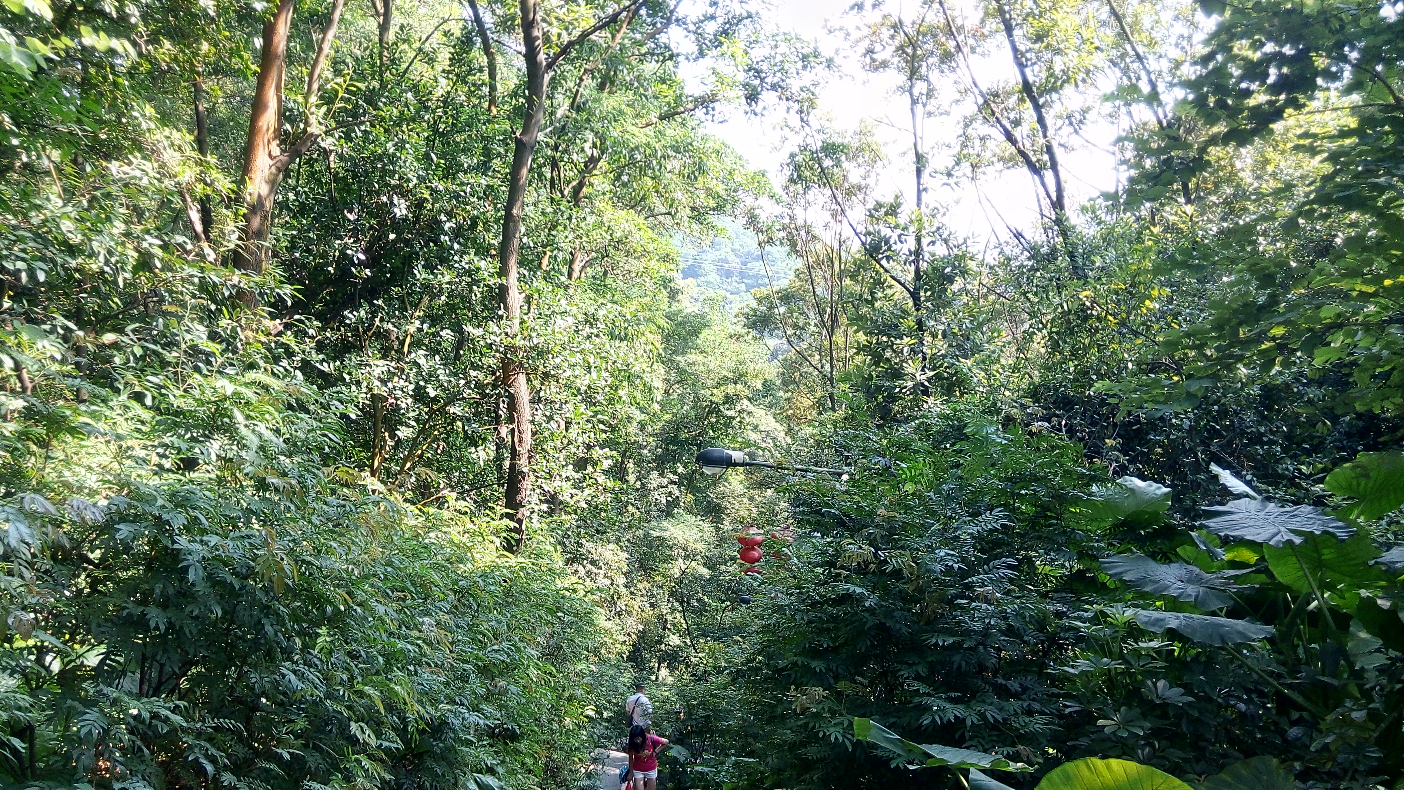 IMG_20141006_145012_HDR