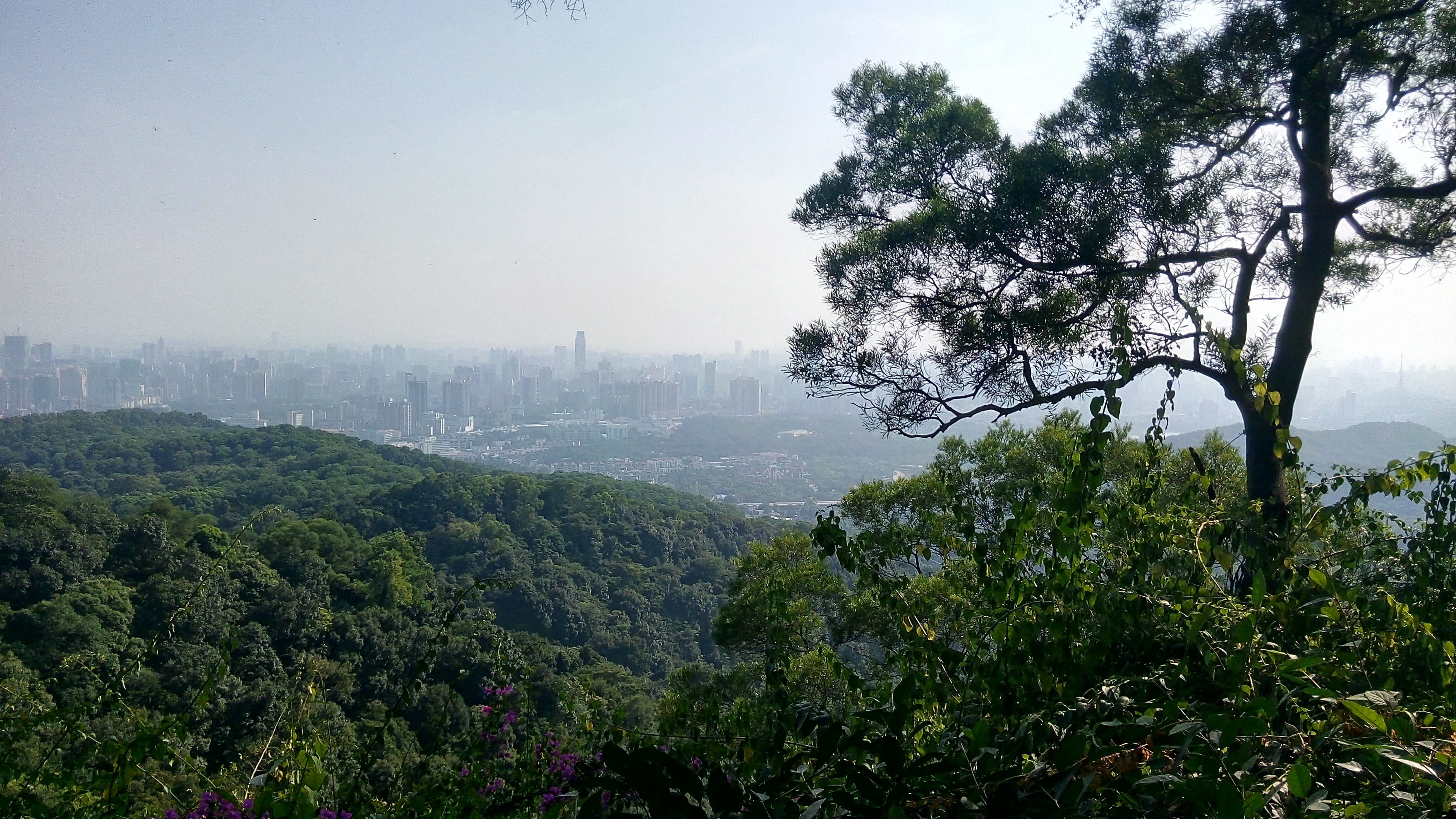 IMG_20141006_150857_HDR