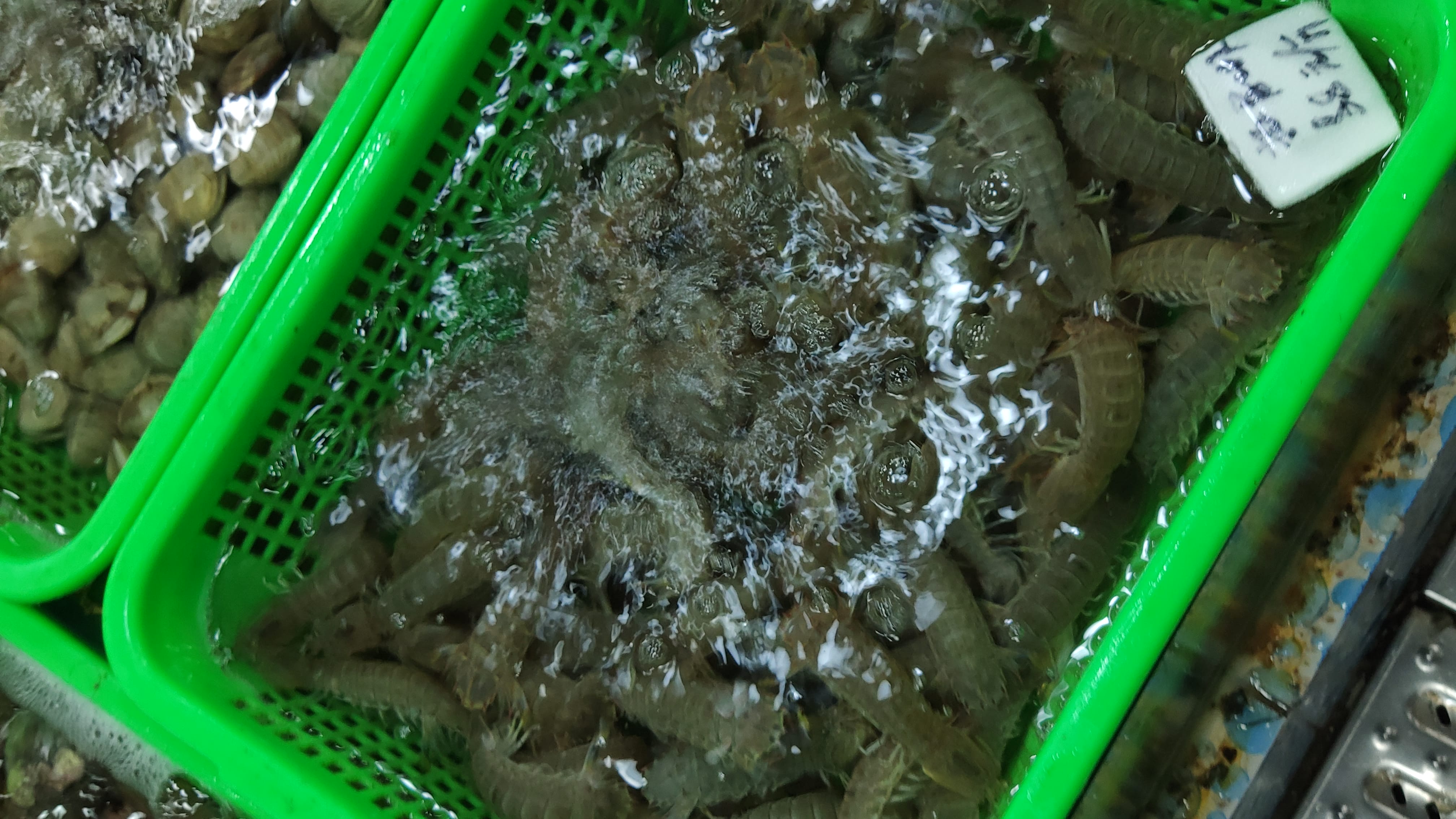 IMG_20190825_124947_1